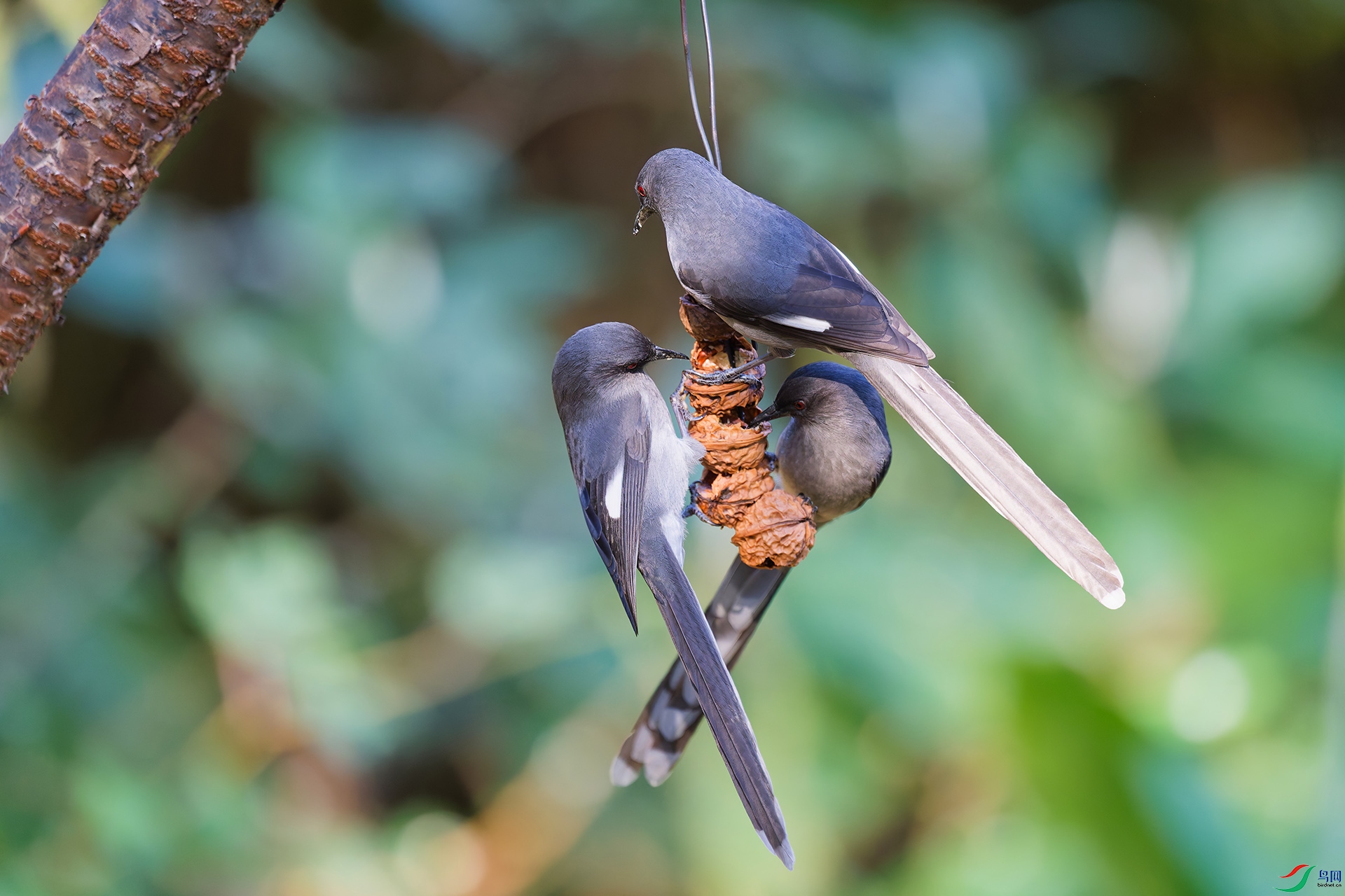 DSC_6029_DxO_DxOa.jpg