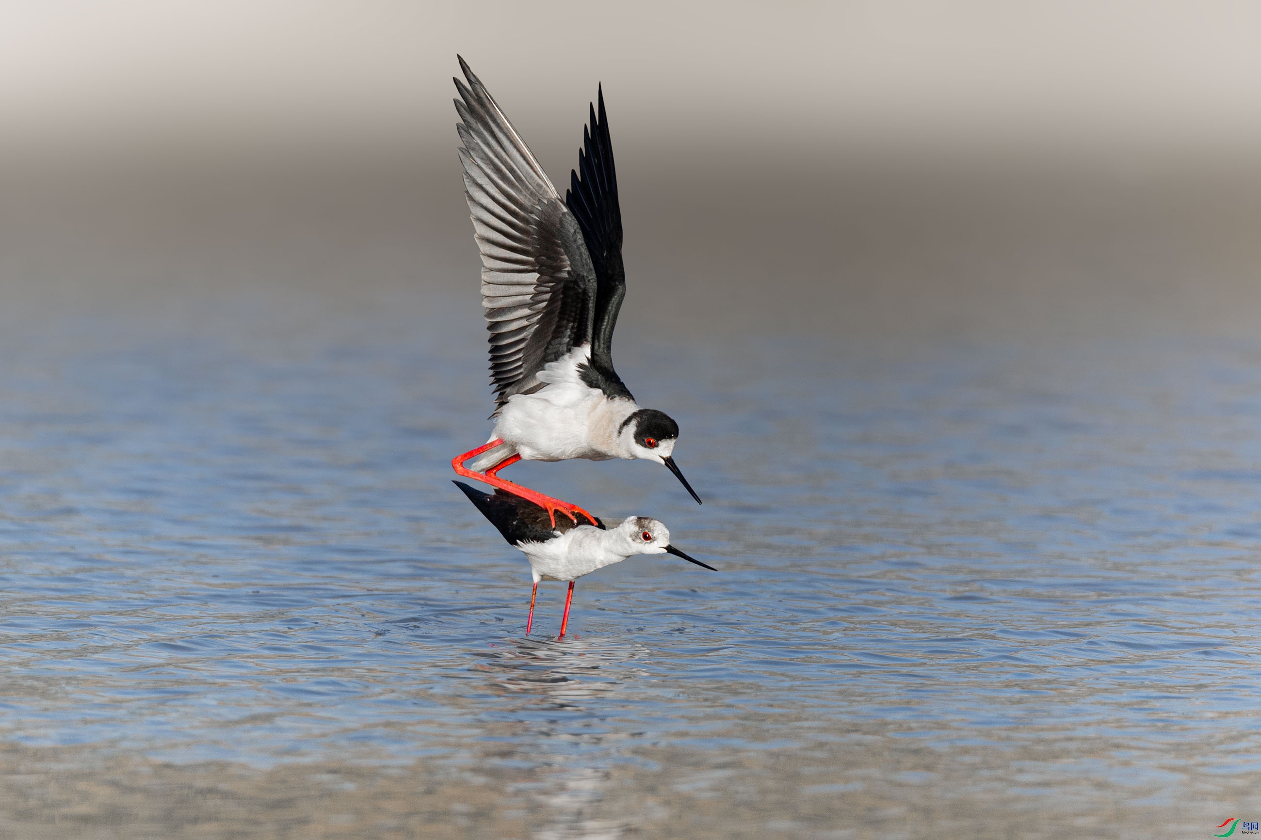 BK0A3642-0.jpg