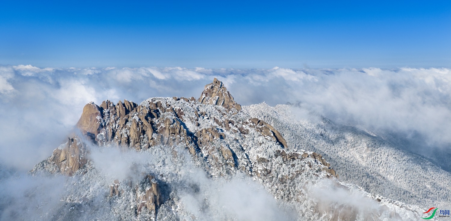 DJI_20260102104830_0037_D 2.jpg