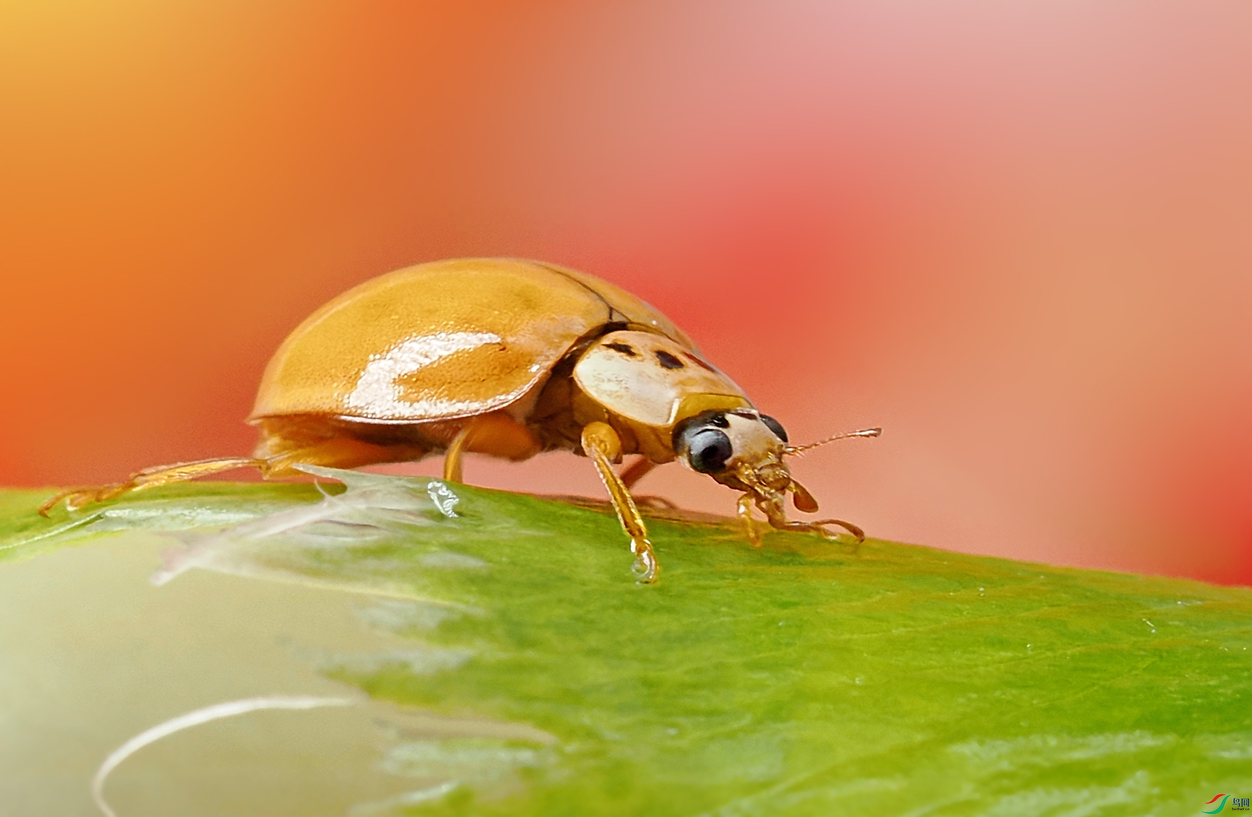 PB080033 ����.jpg