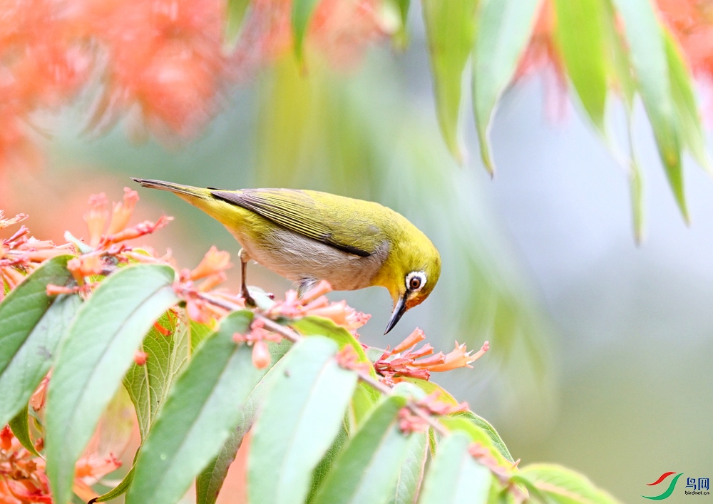 ���������� (6).JPG