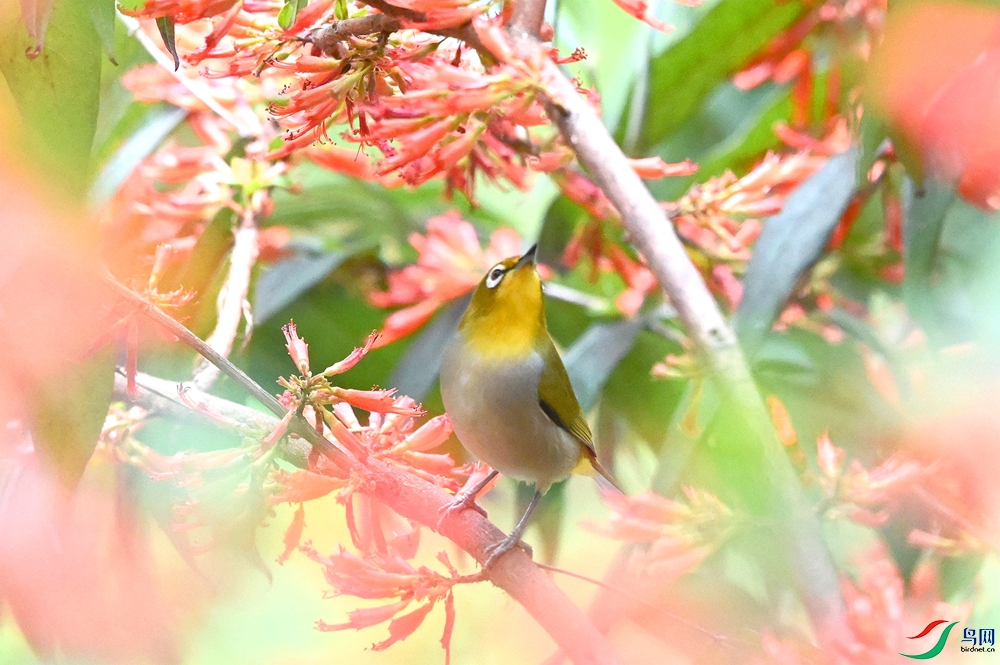 ���������� (1).JPG