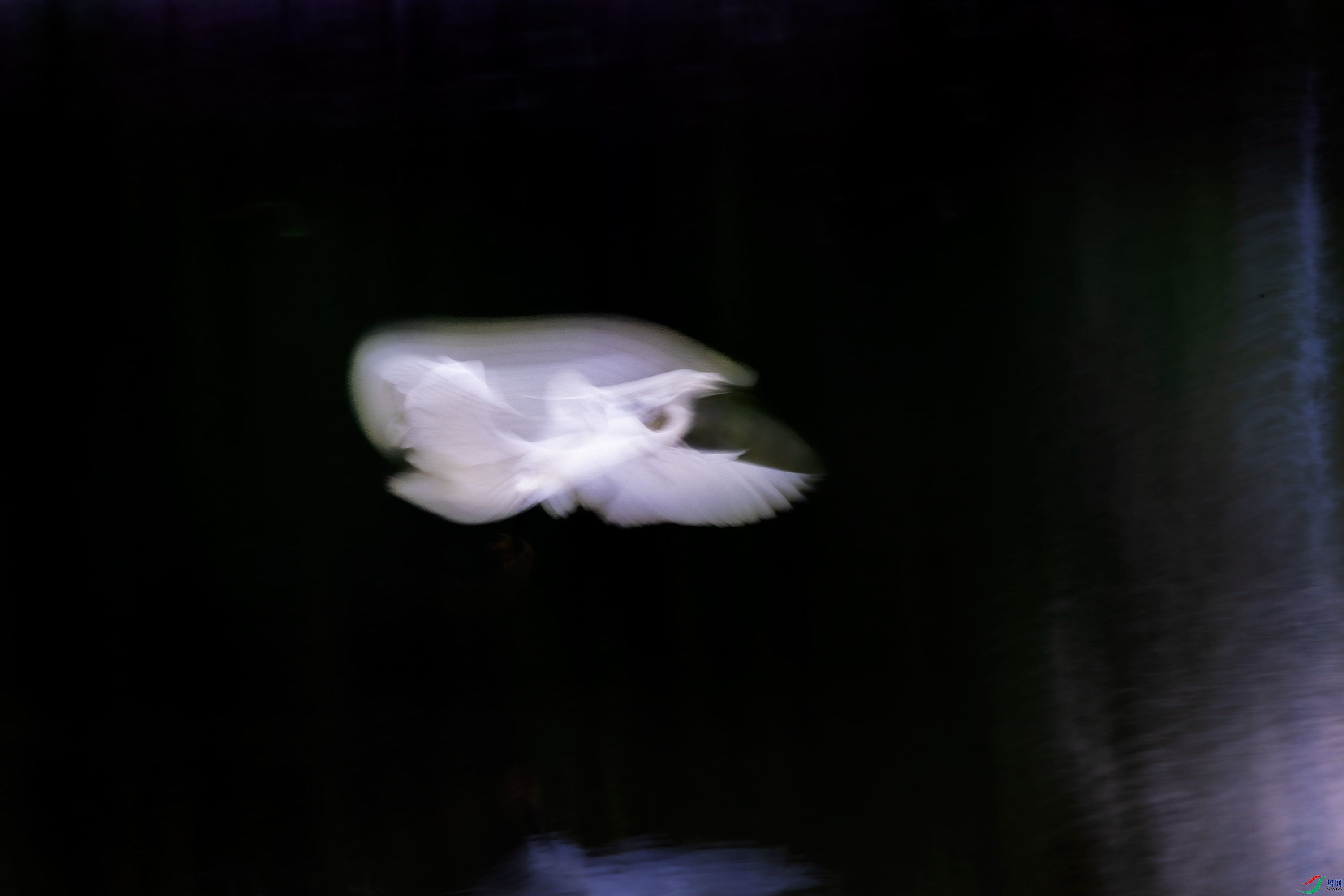 278A9606.jpg