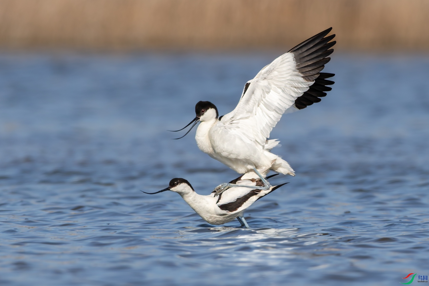 A91Q4478-DxO_DeepPRIME 3.jpg