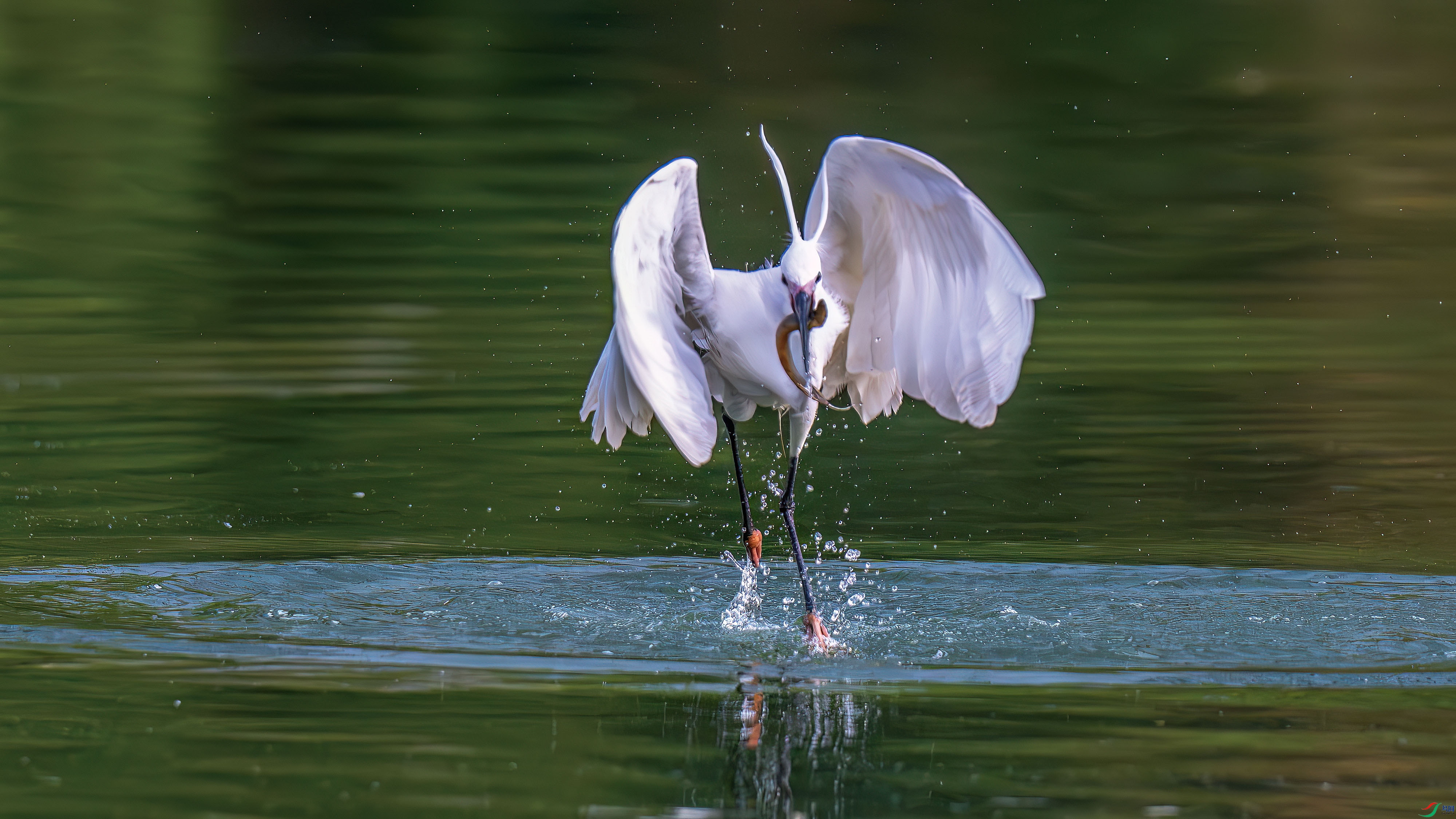 DSC_3314.jpg