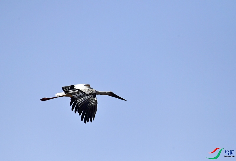 _DSC0908.JPG