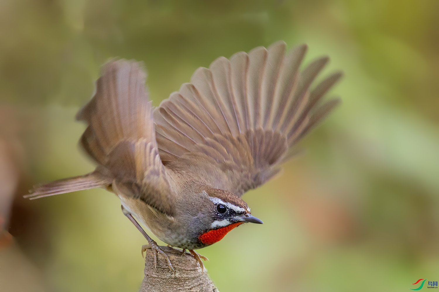 0F7A7161 ����.jpg