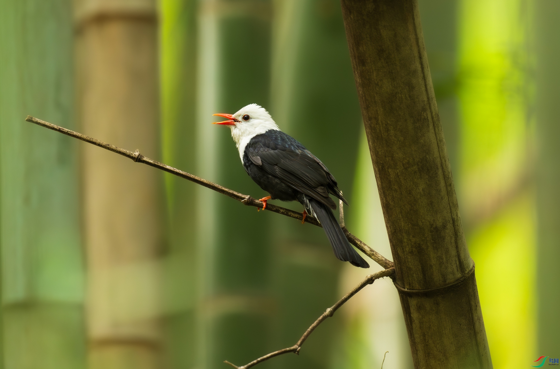 DSC_5974.jpg