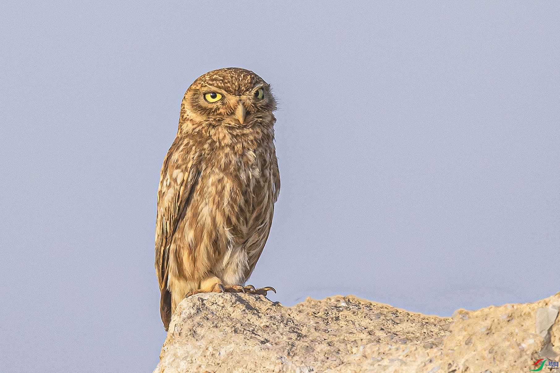 _90I3038 ���� 2.jpg