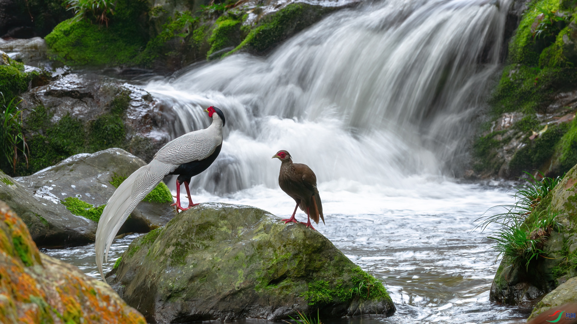 _DSC1394-1xx.jpg