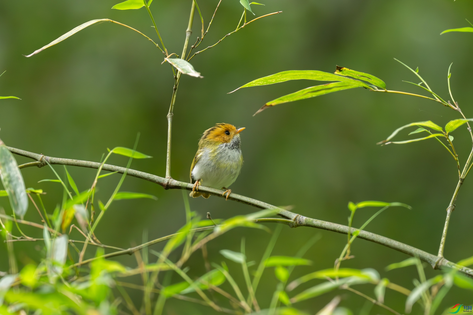 DSC_5394.jpg
