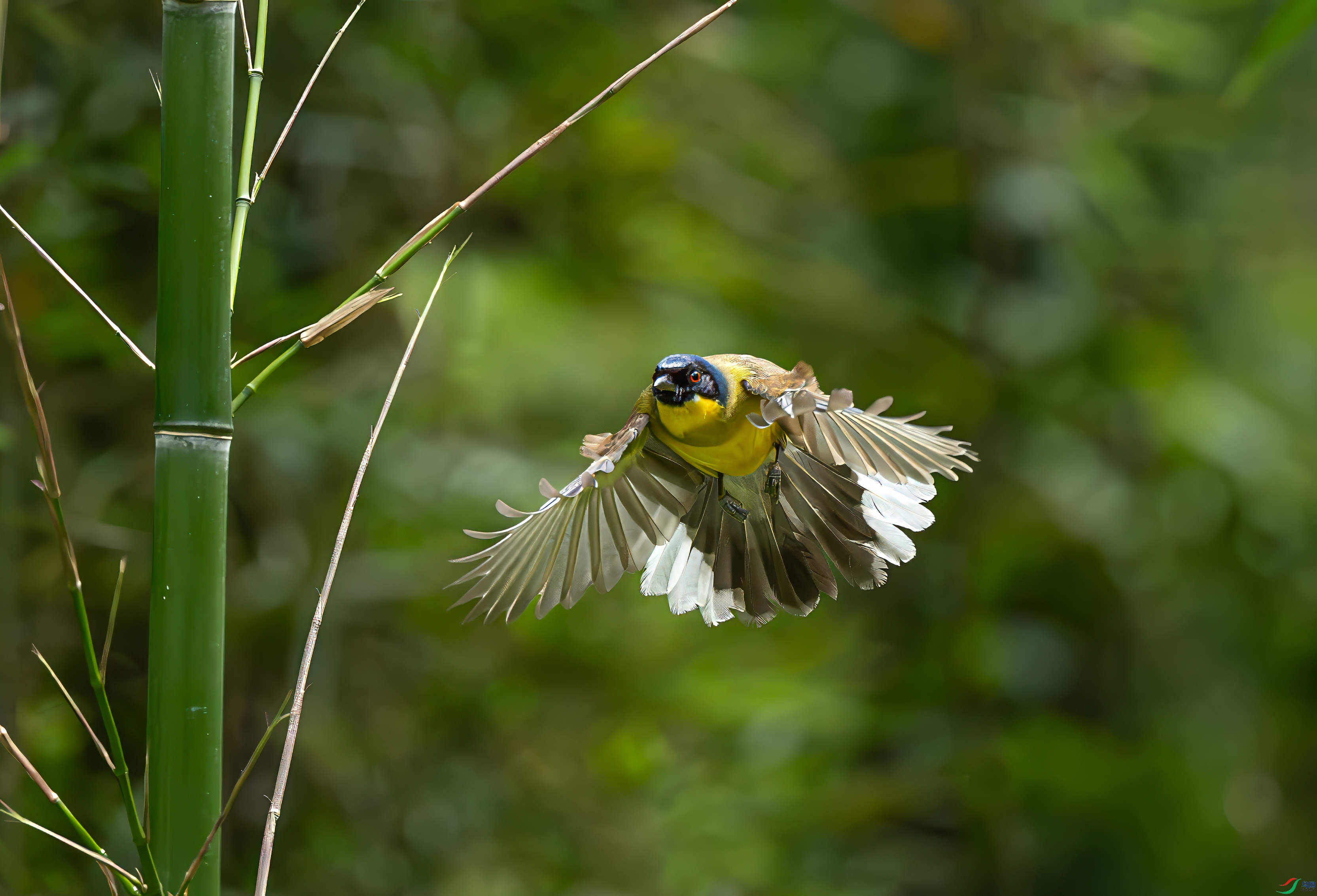 0B0A7359.jpg