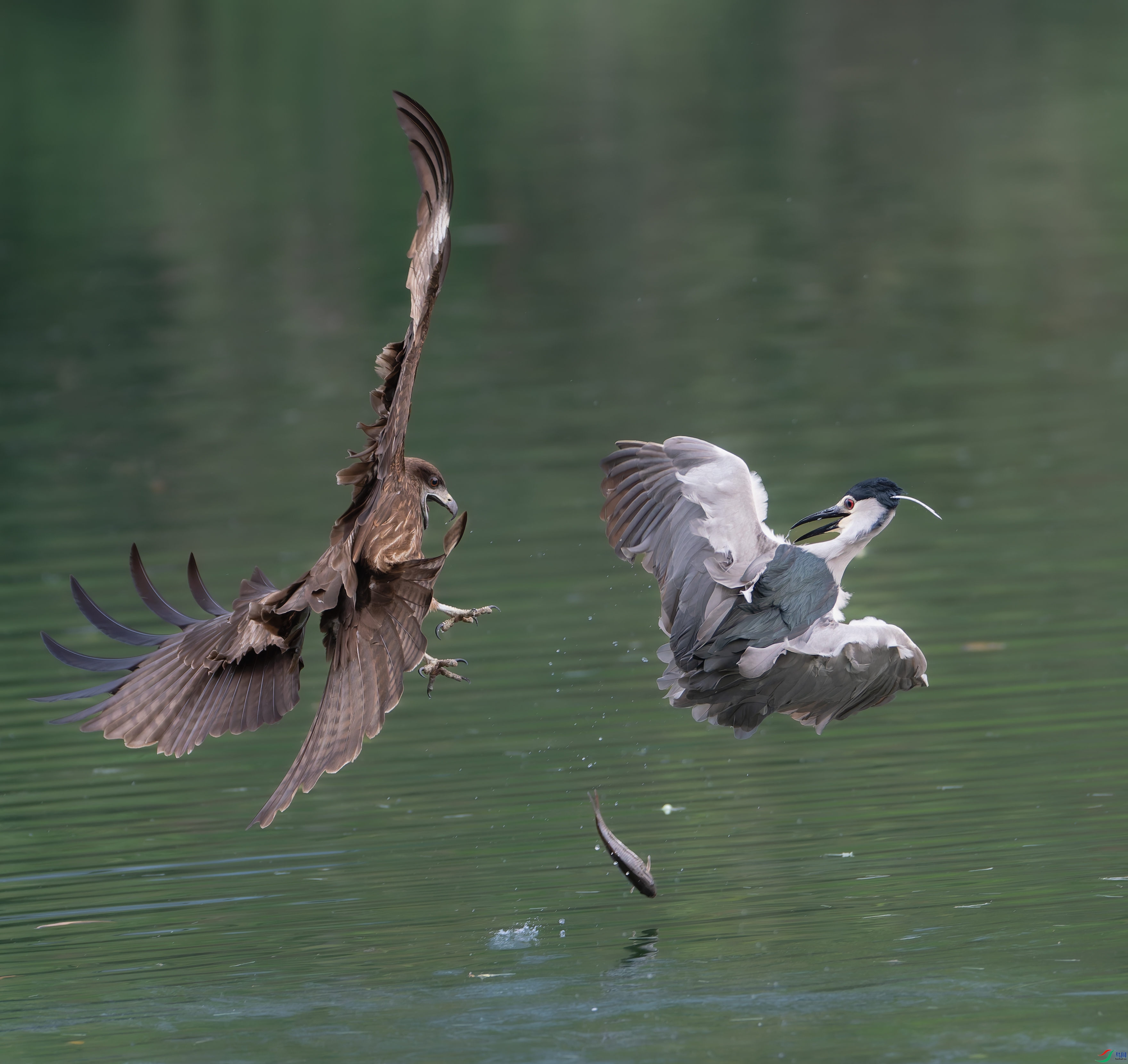 P3270195-DxO_DeepPRIME XD2s_����.jpg