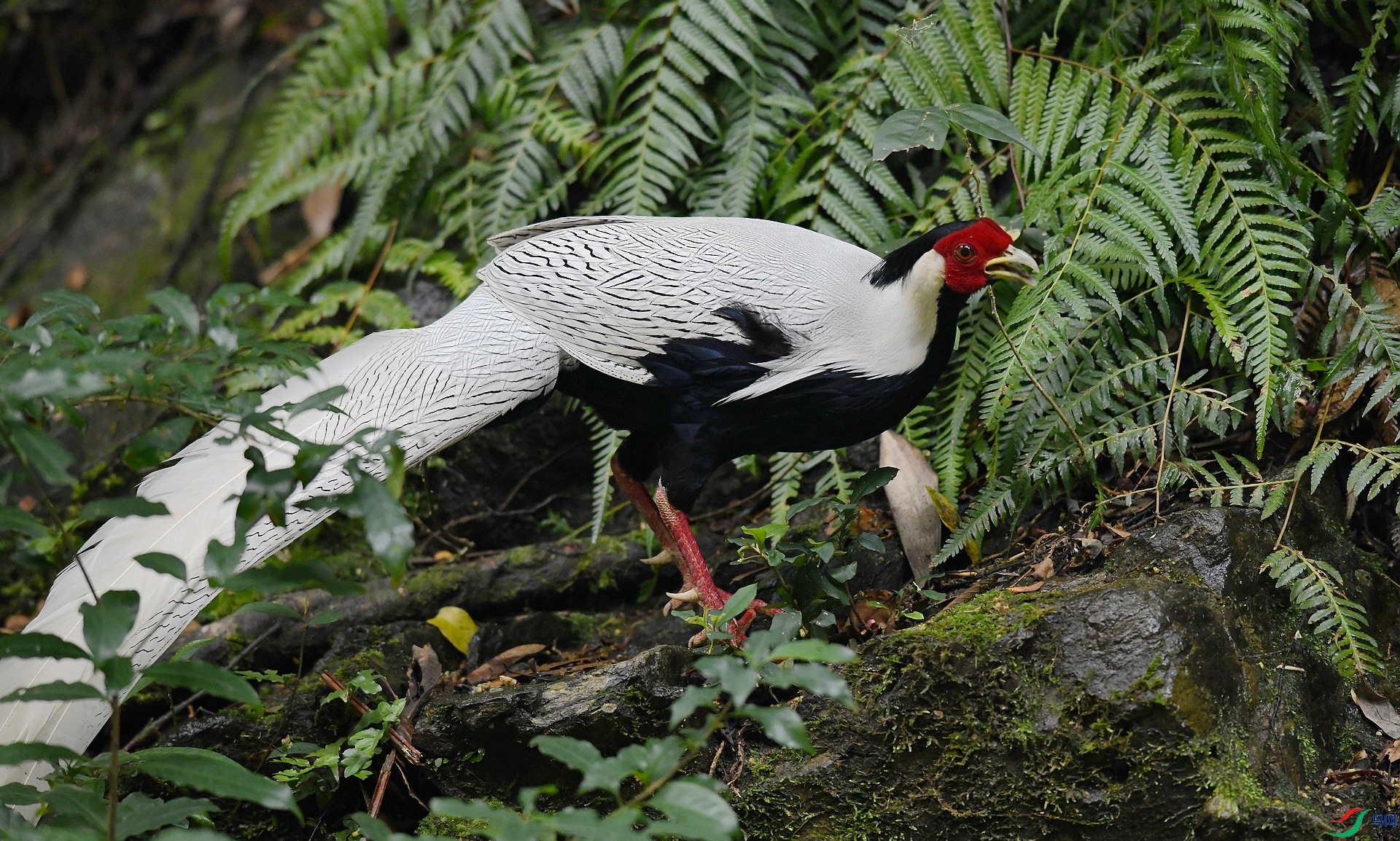 DSC_6805.jpg