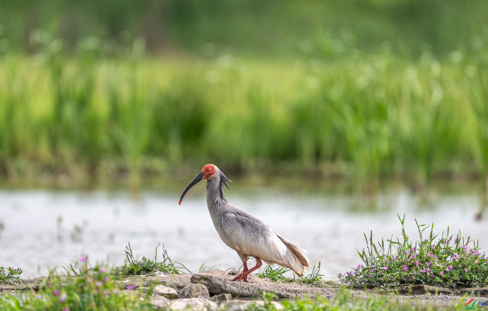 DSC_3285-1.jpg