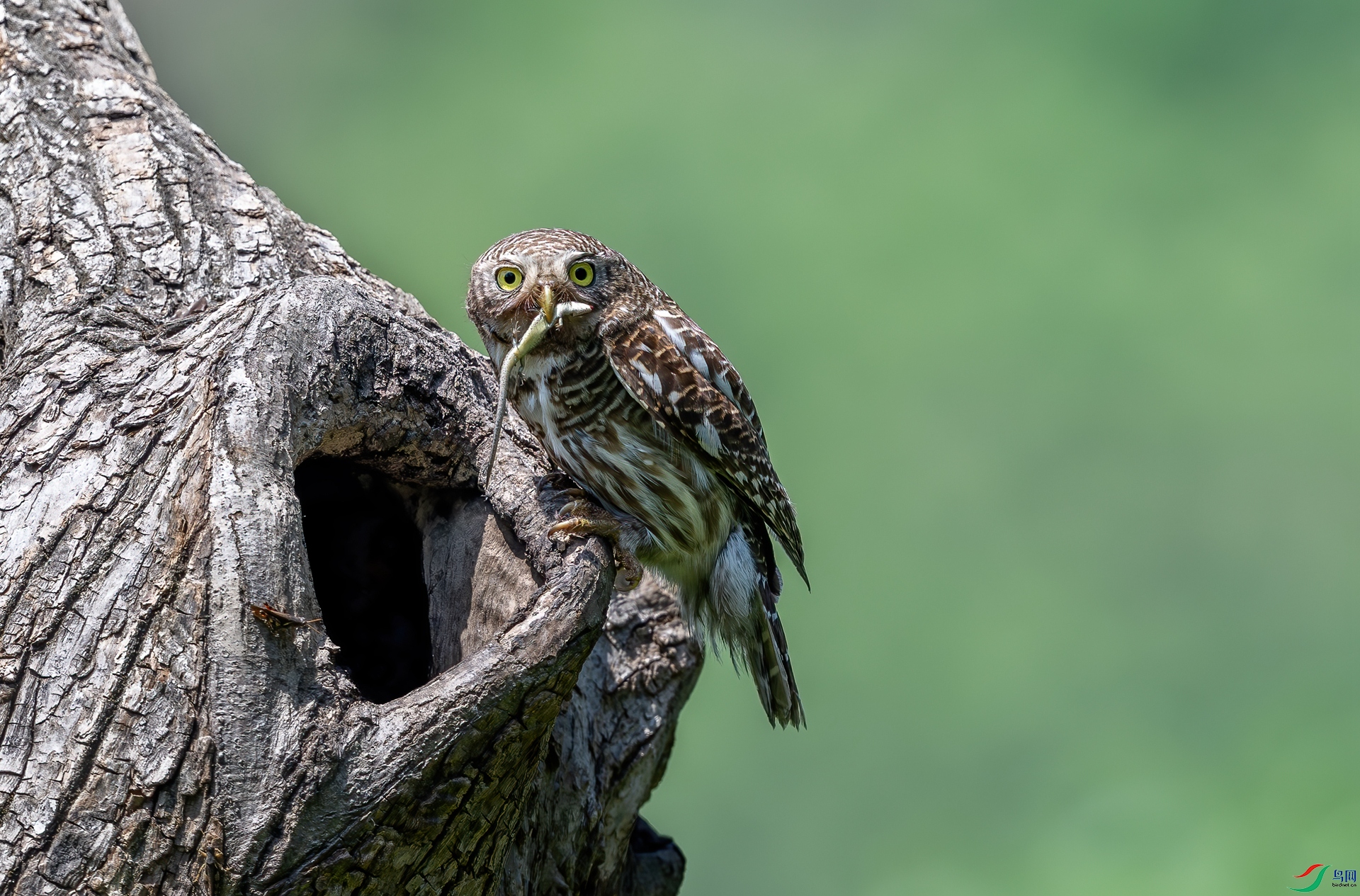DSC_2069.jpg