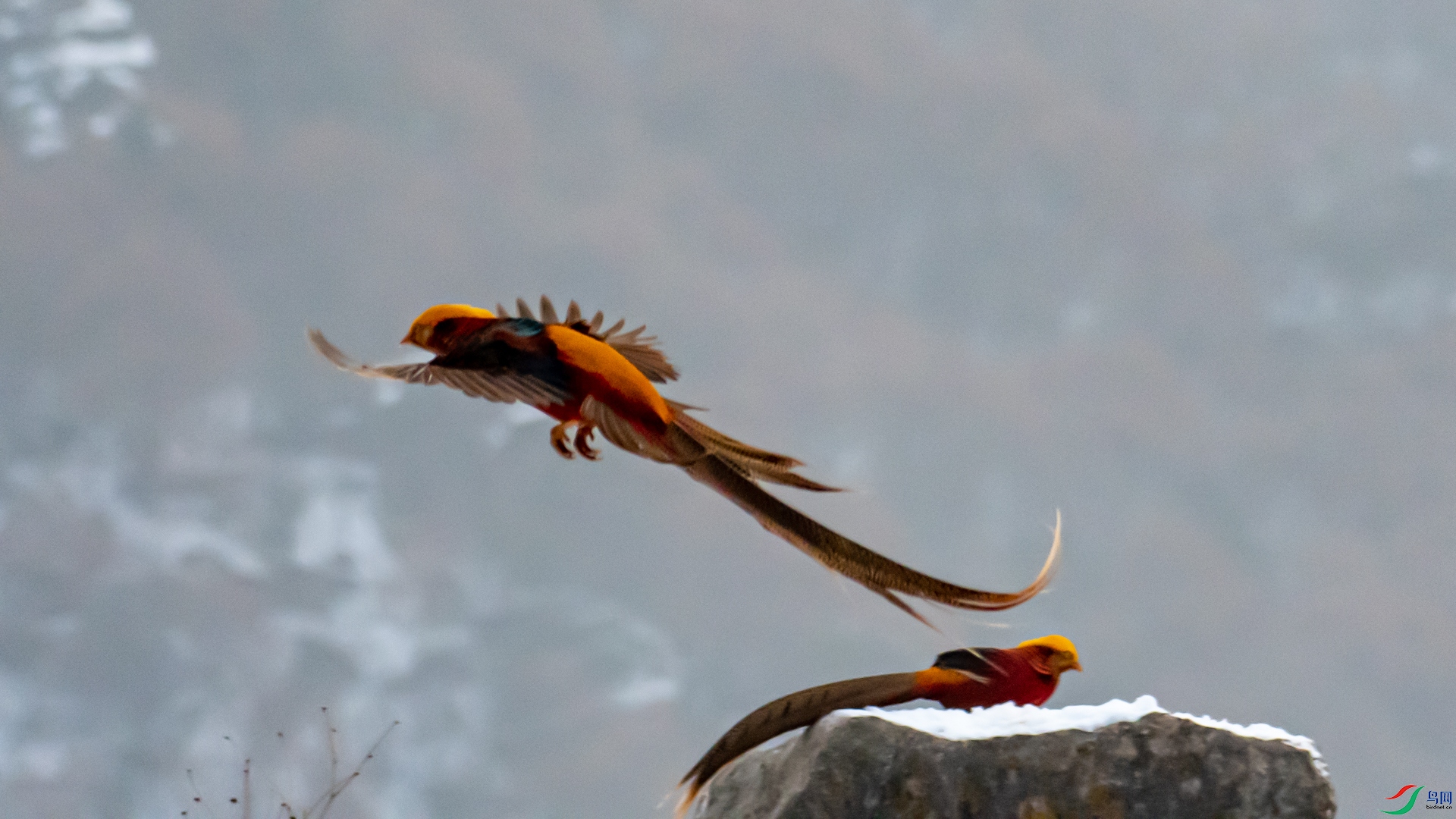 DSC_6258_1.jpg