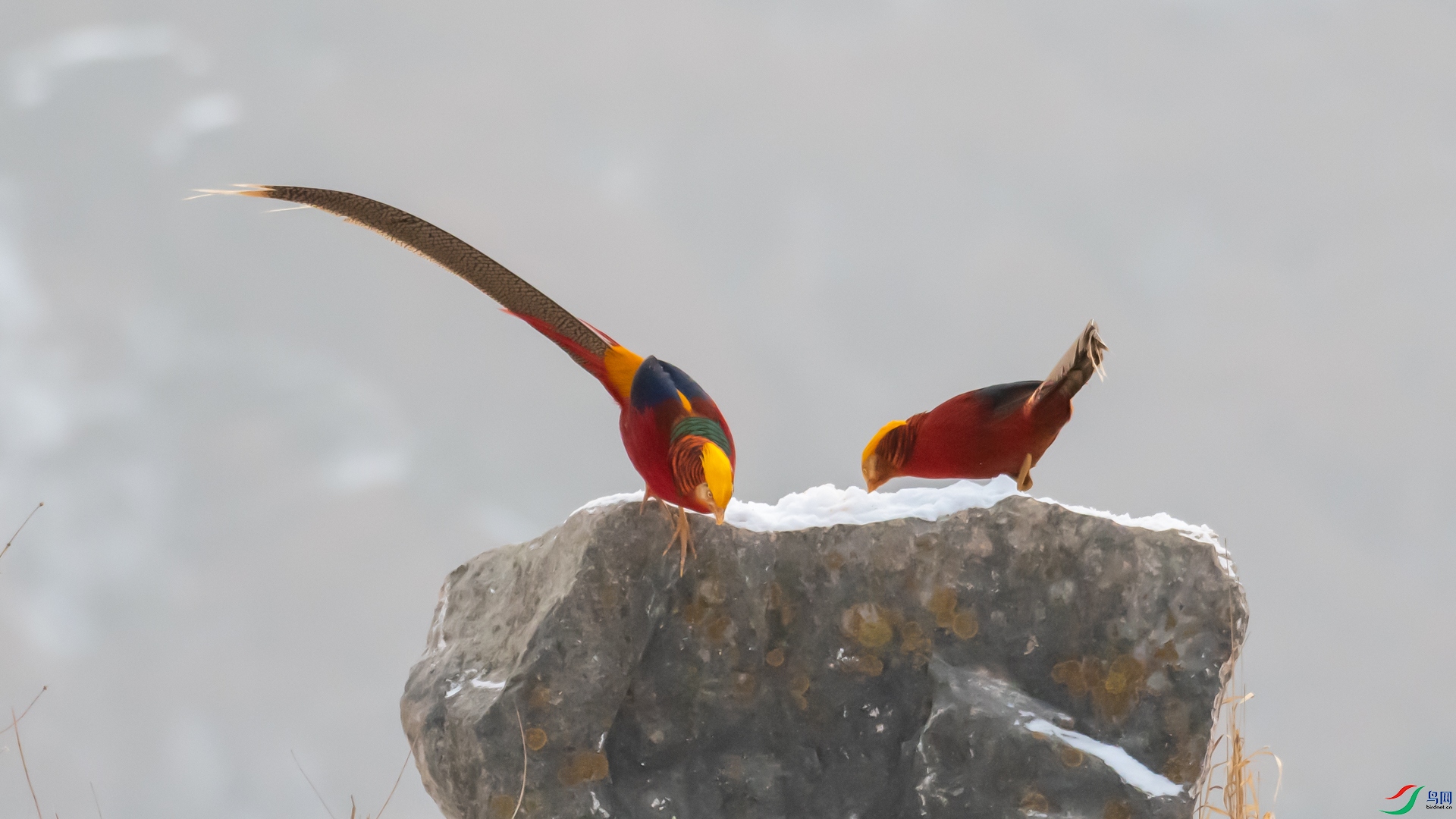 DSC_6311.jpg
