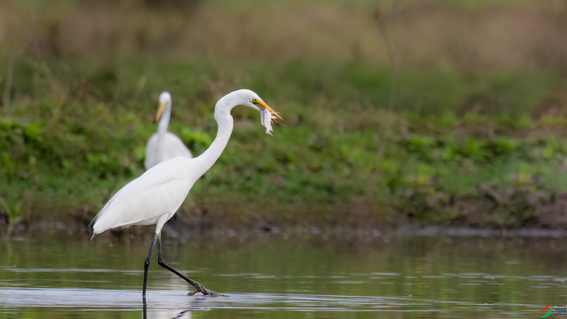 DSC_8282sen2026-2-20-24-�༭-2.jpg