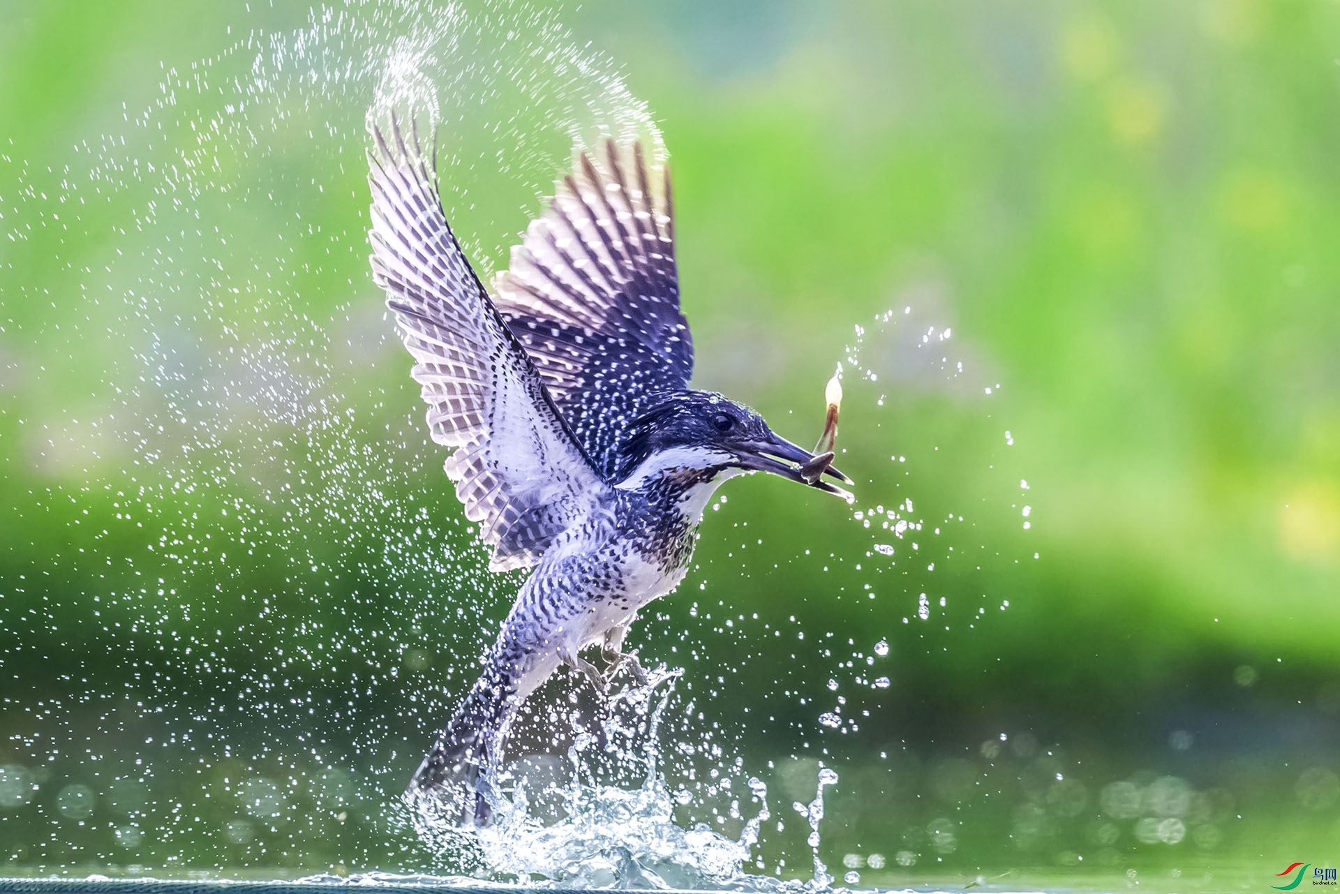 AF3I5657 ����111111.jpg