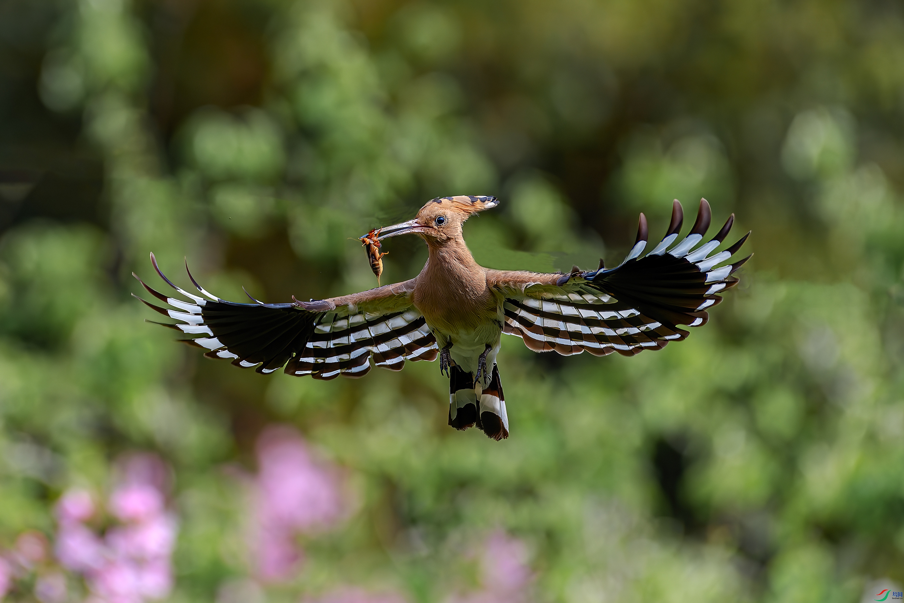DSC_8354-AB.jpg