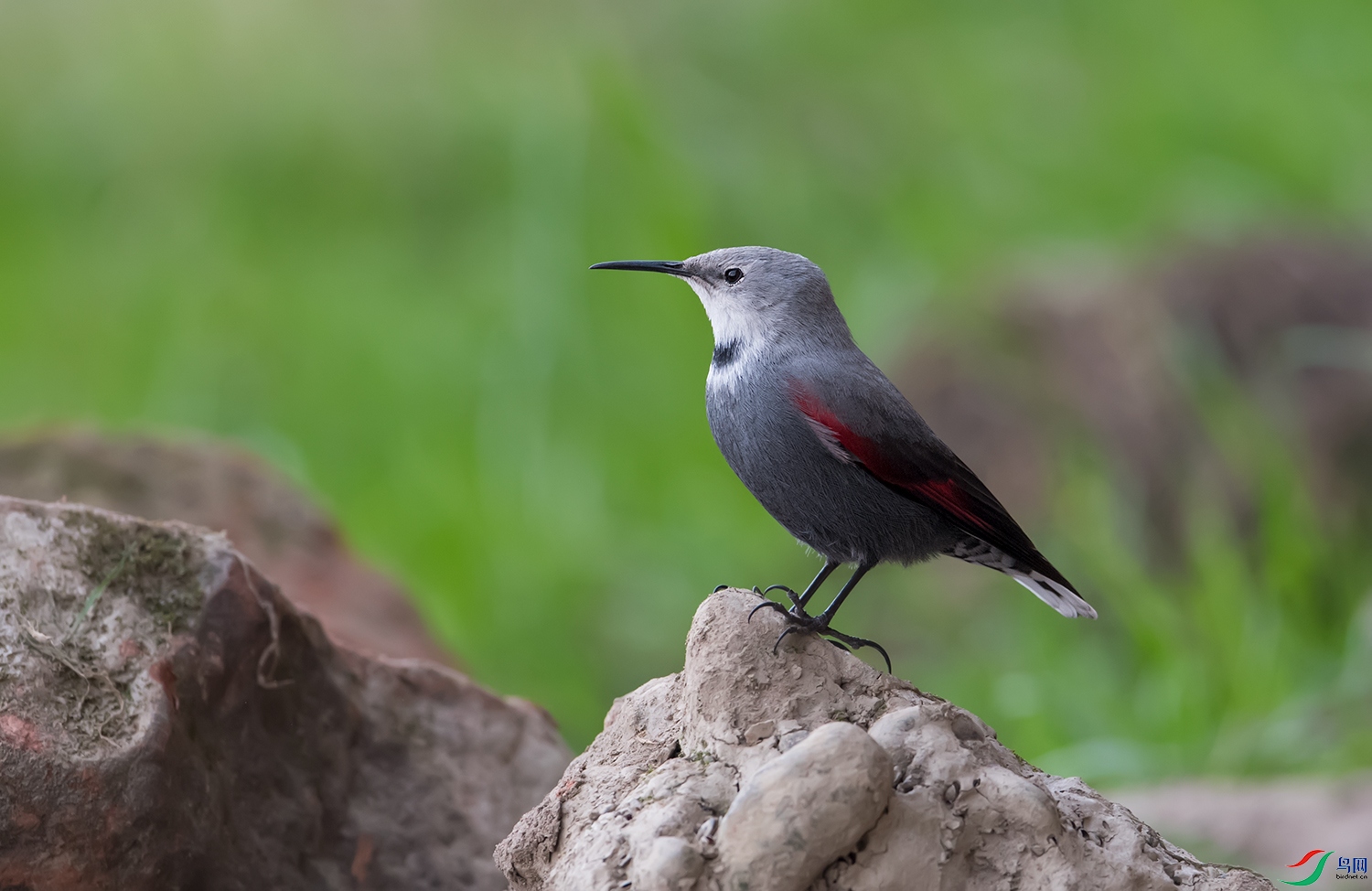 DSC_71161.jpg