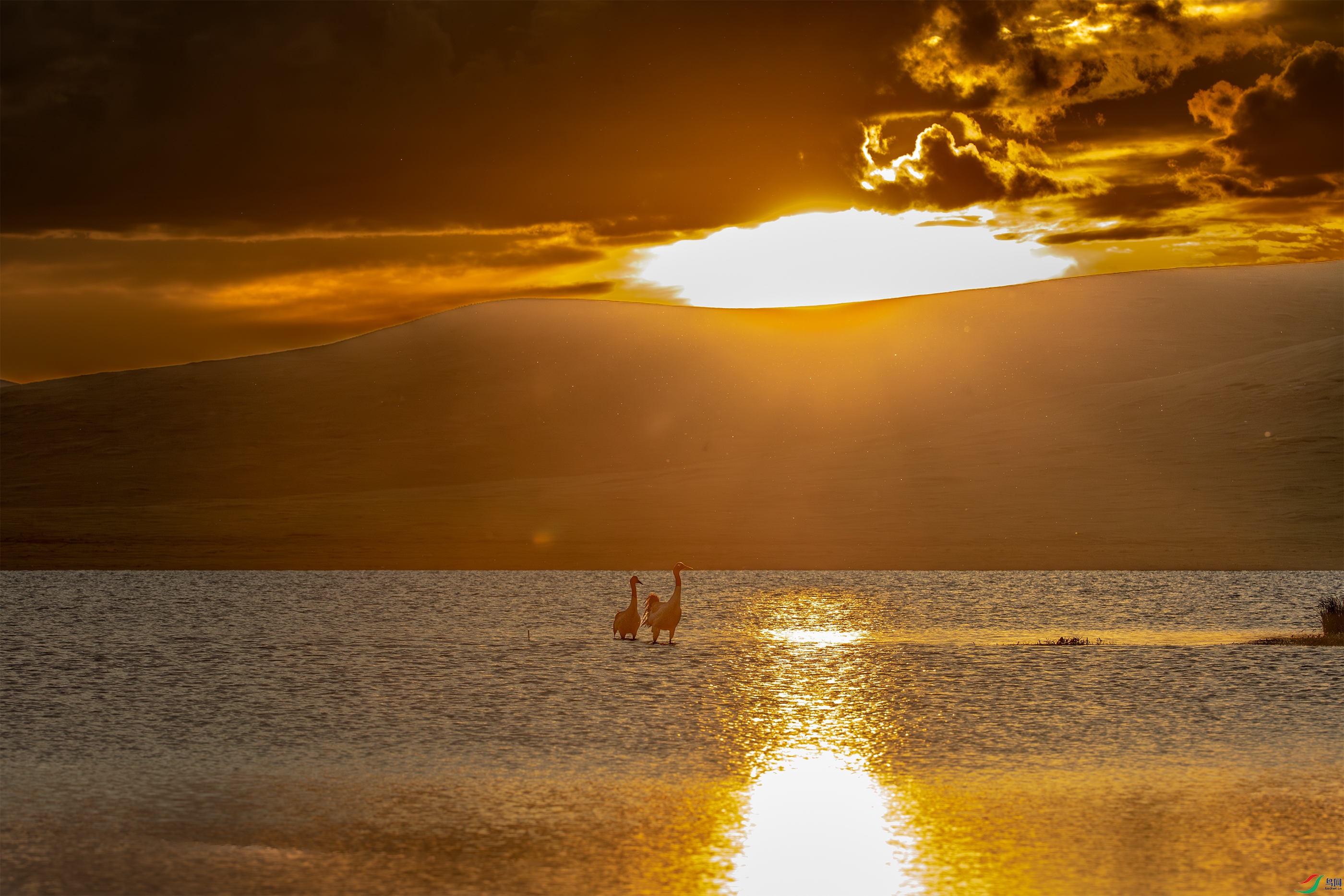 3S5A0478 ����.jpg
