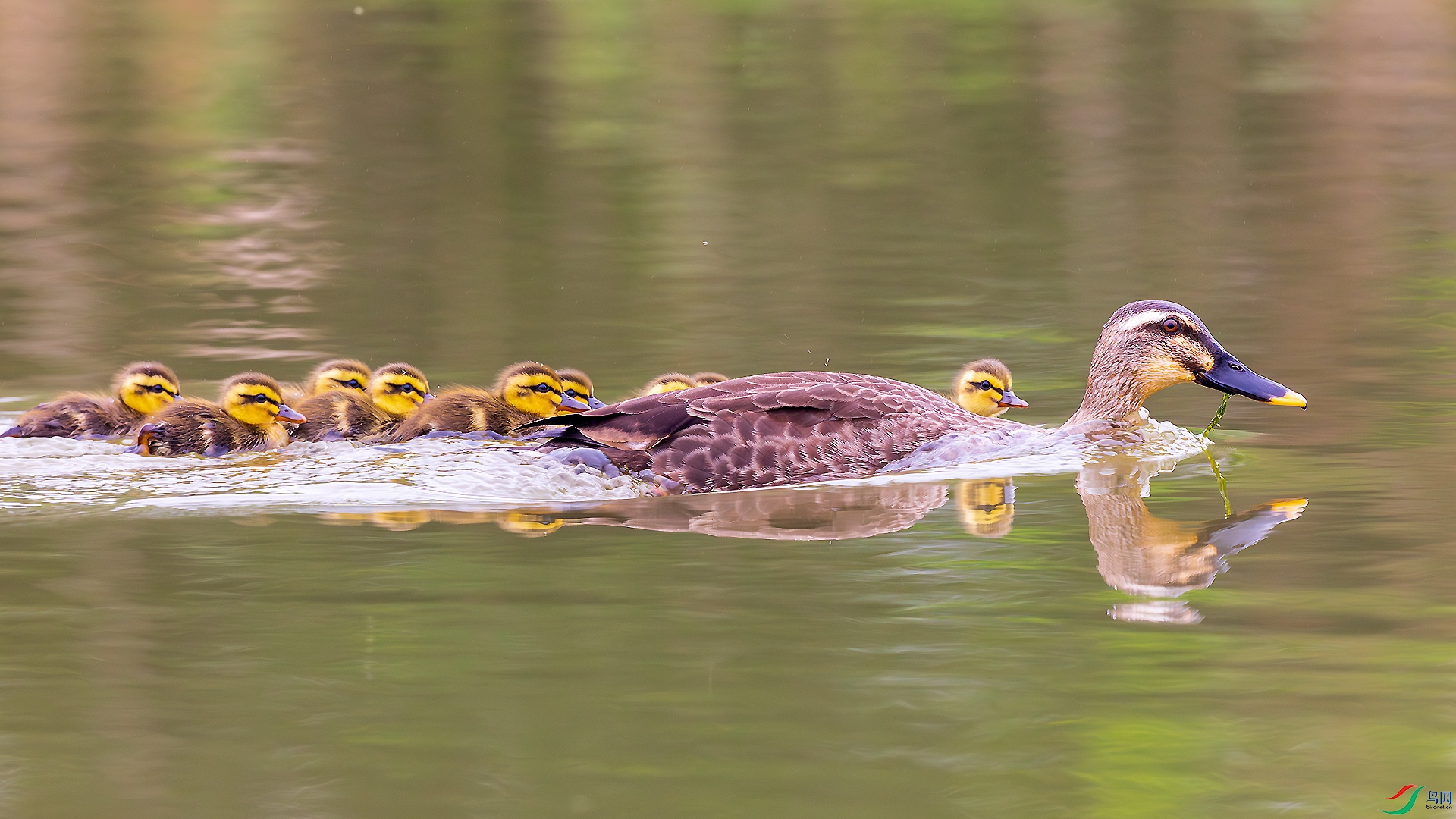 _F9A0540 ����.jpg