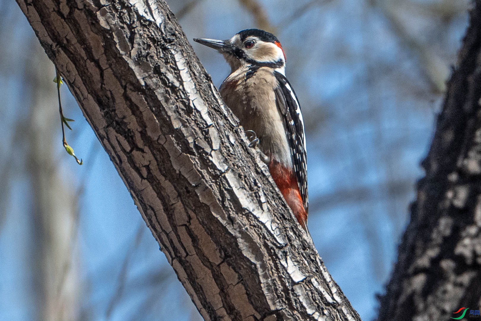 DSC_4230_3.jpg