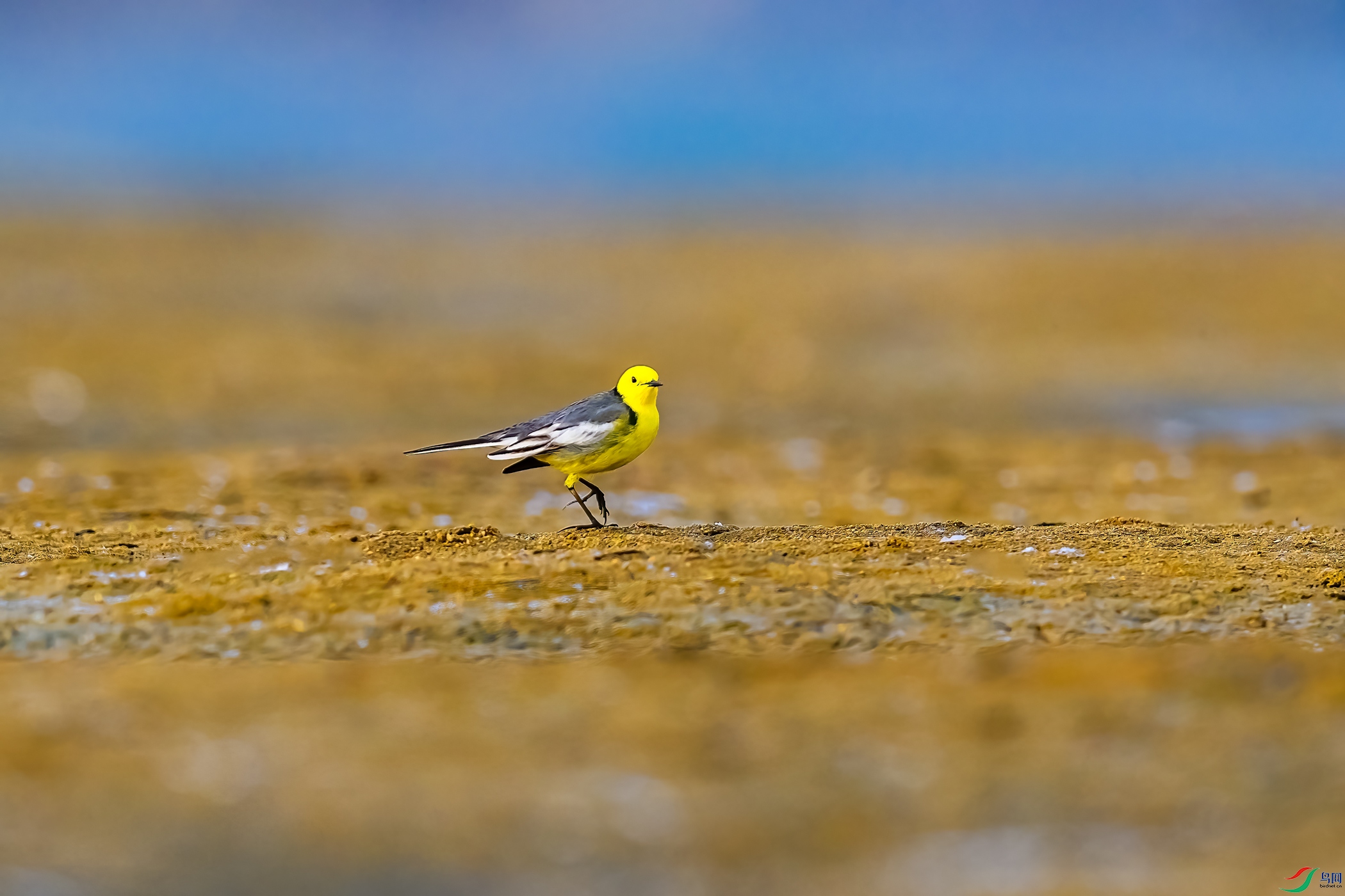 _DSC4186-1.jpg
