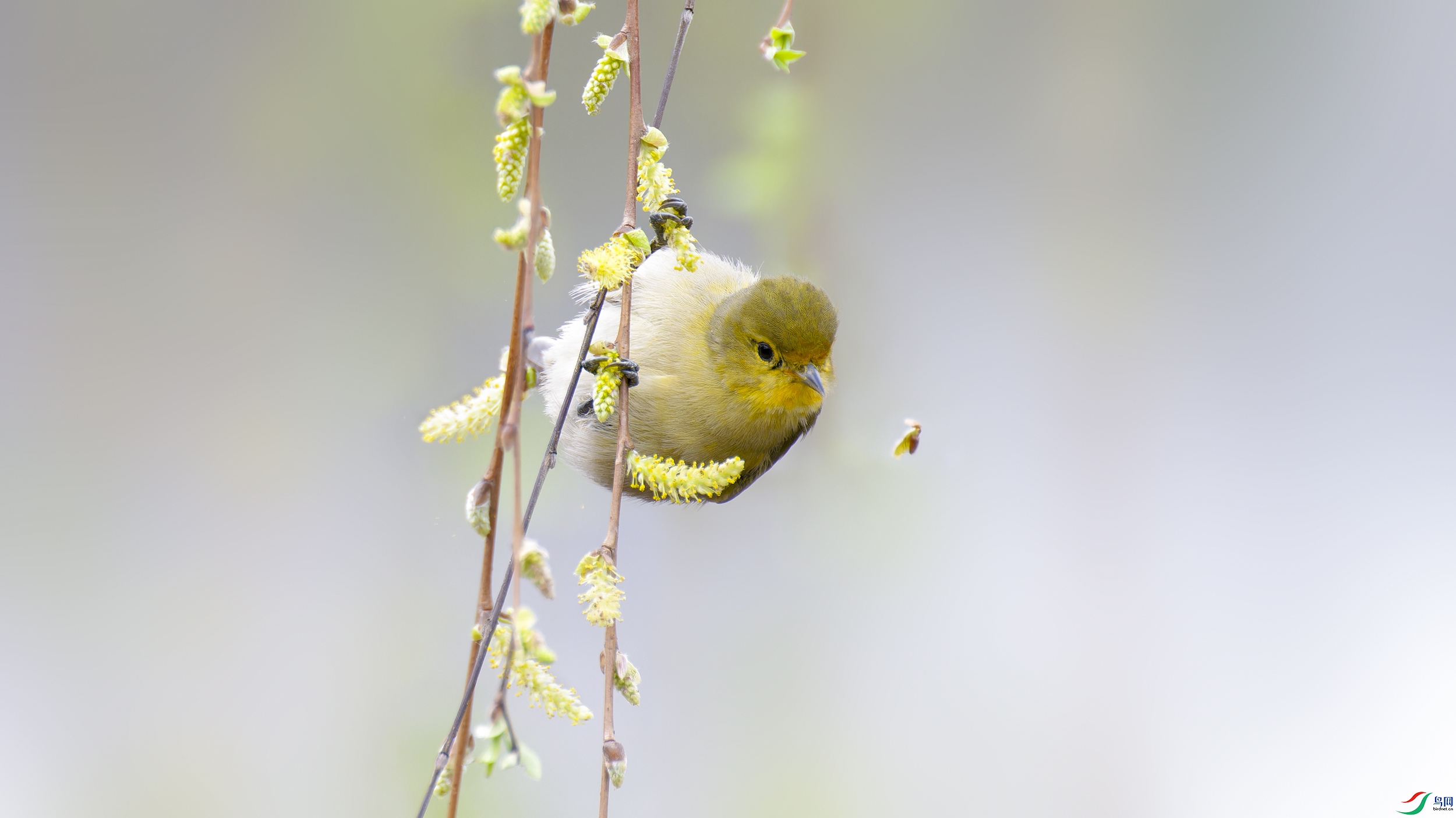 DSC_4590_DxO.jpg