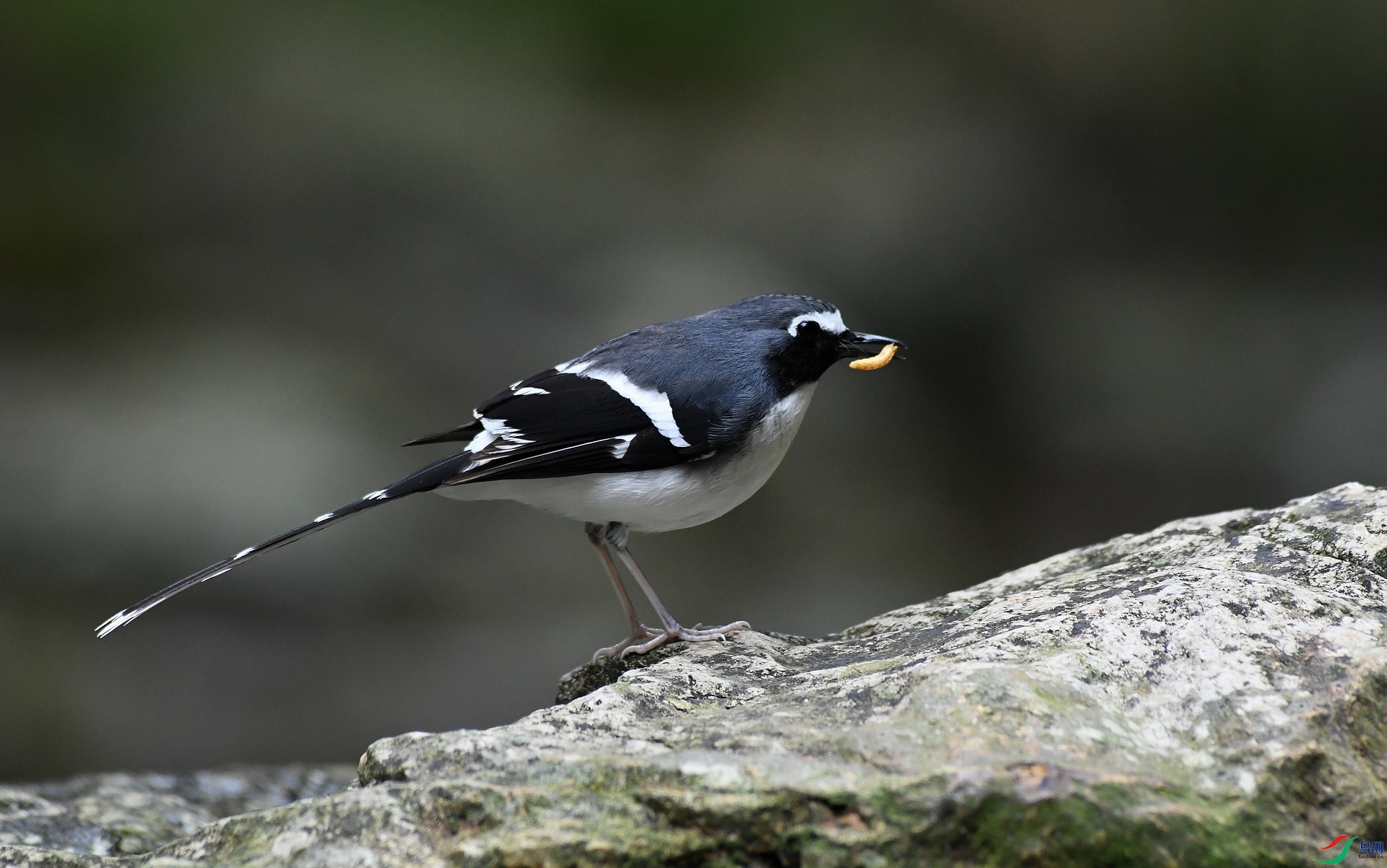 DSC_9755.jpg