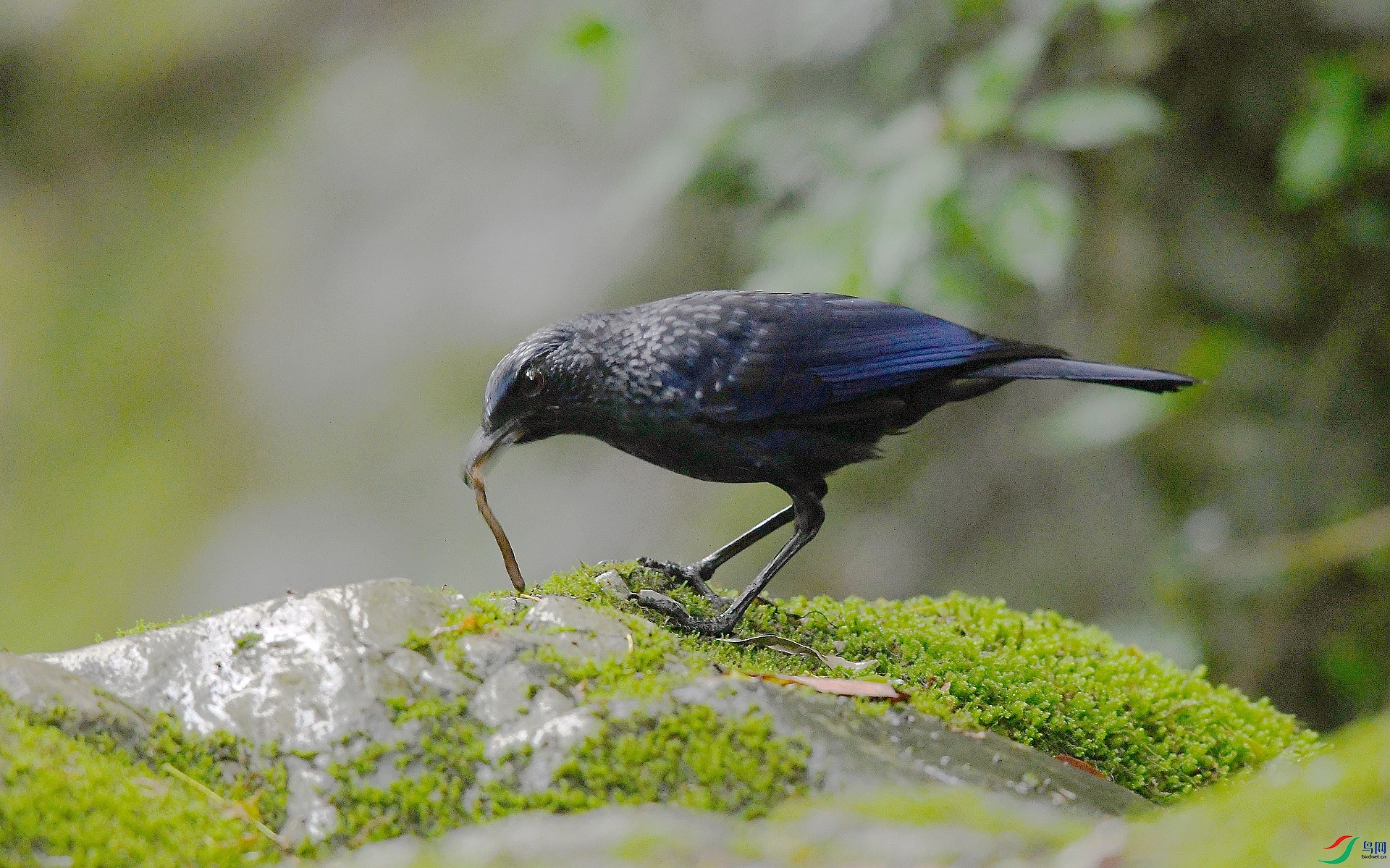 DSC_1042.jpg
