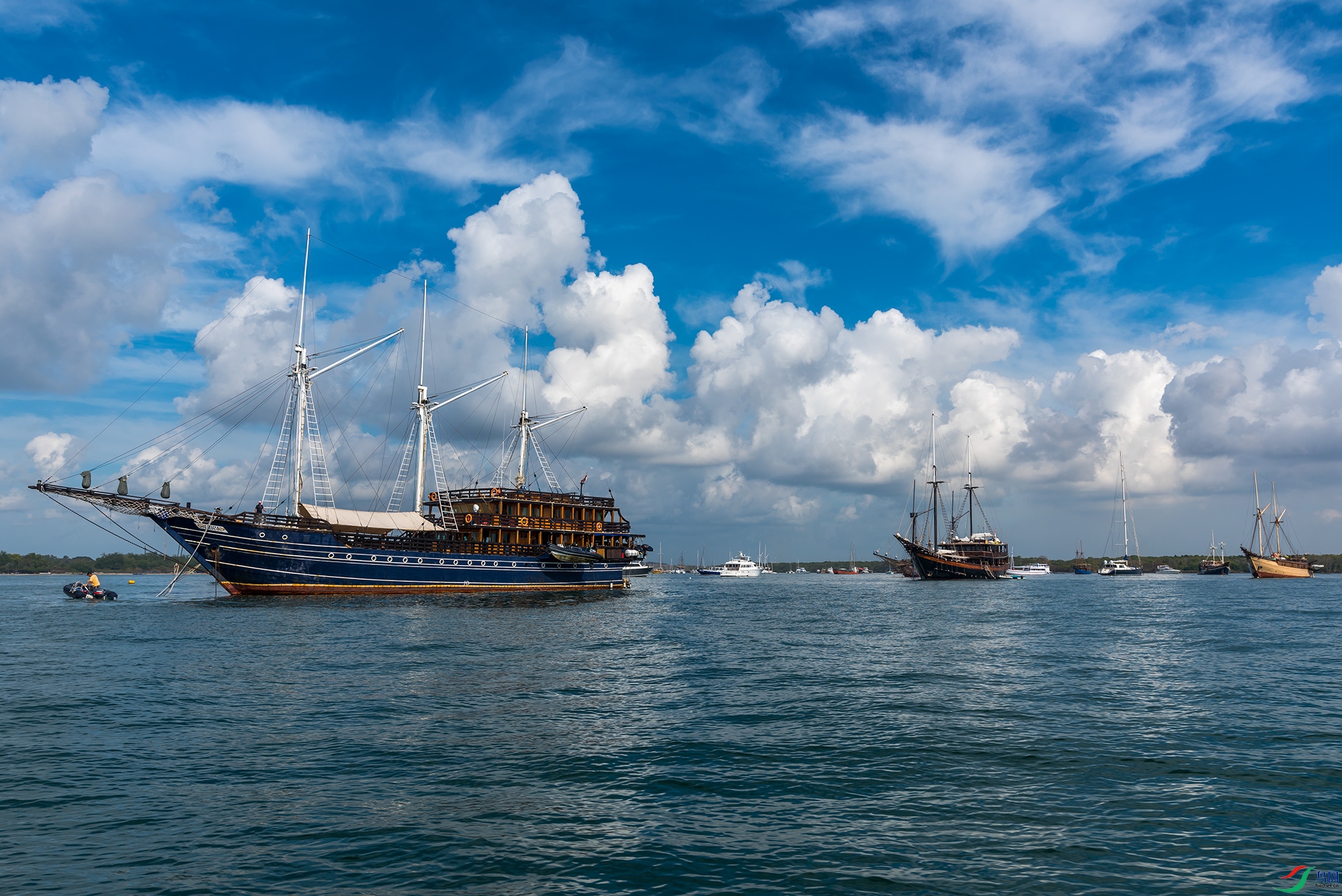 DSC_4421a.jpg