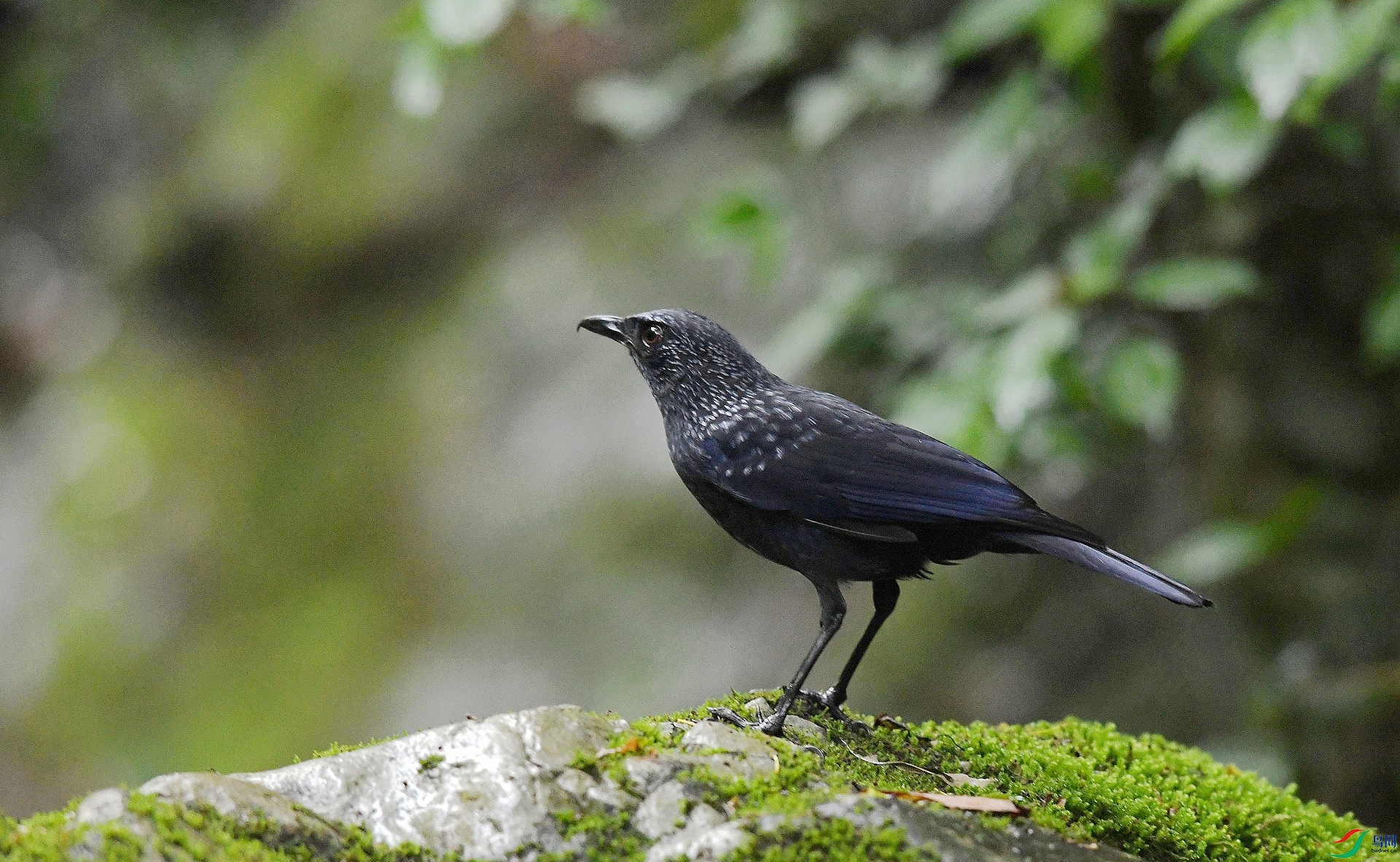 DSC_1034.jpg