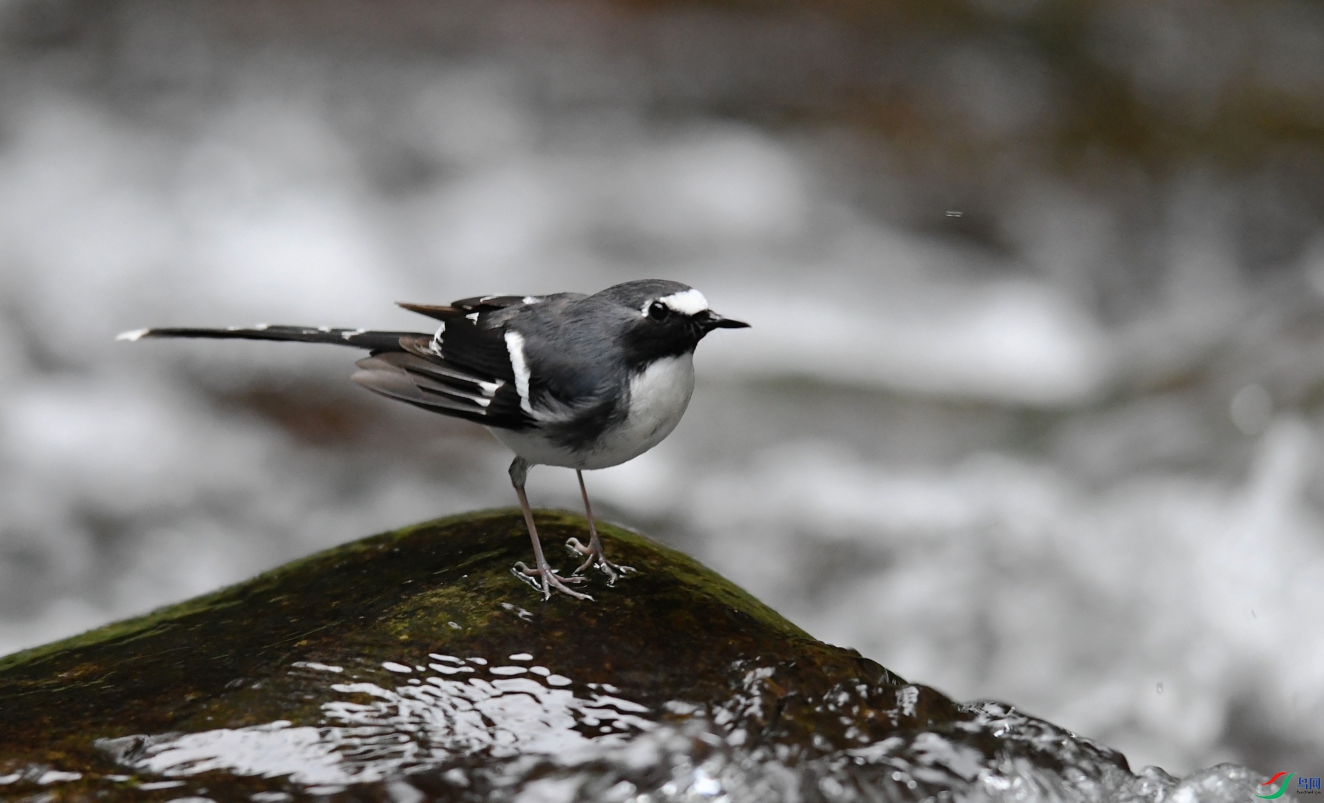 DSC_1143.jpg