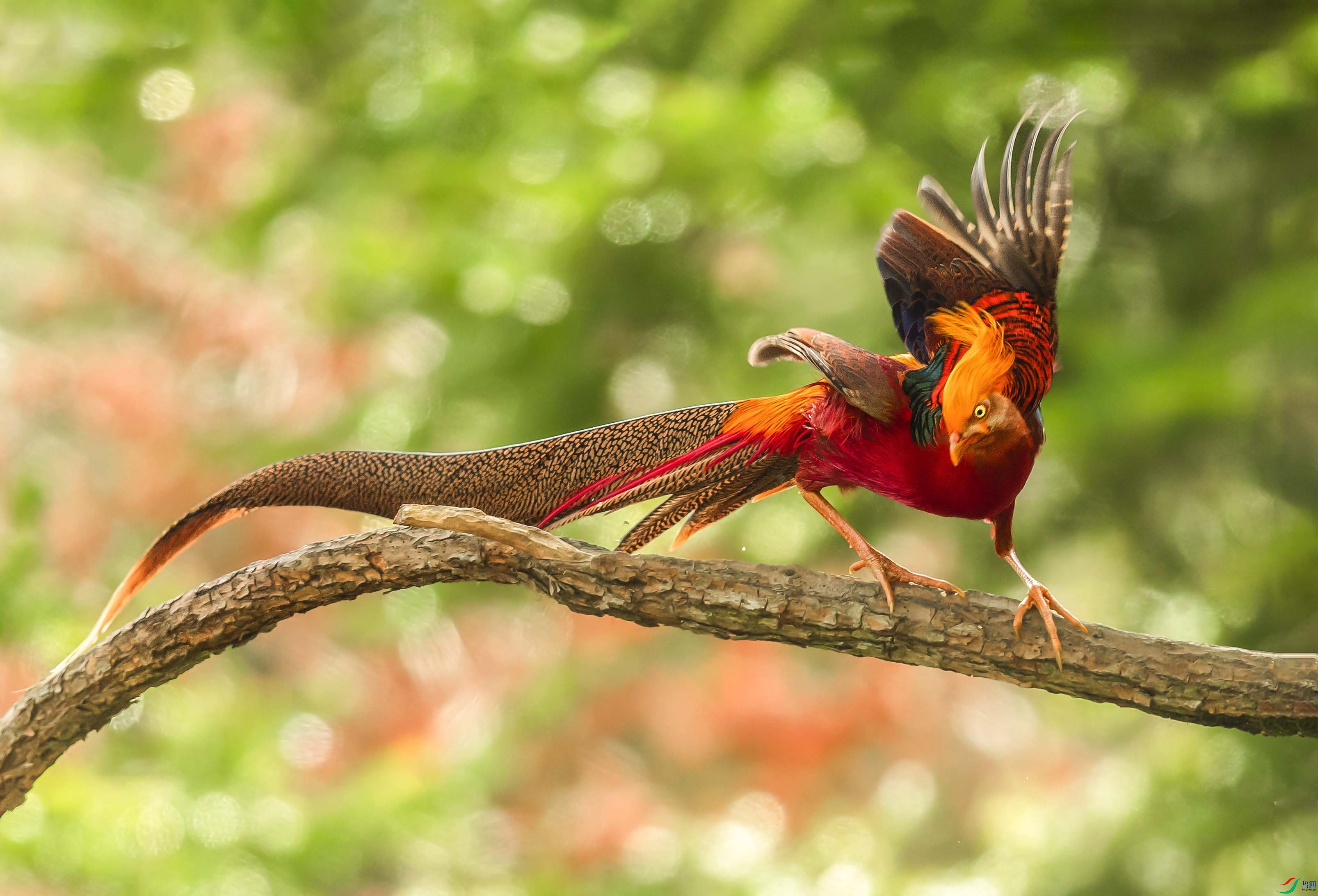 0N6A2338 ����.jpg