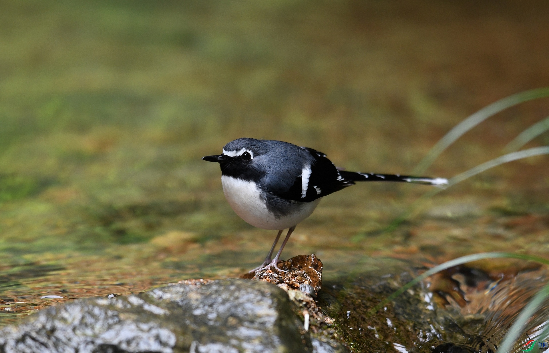 DSC_3865.jpg
