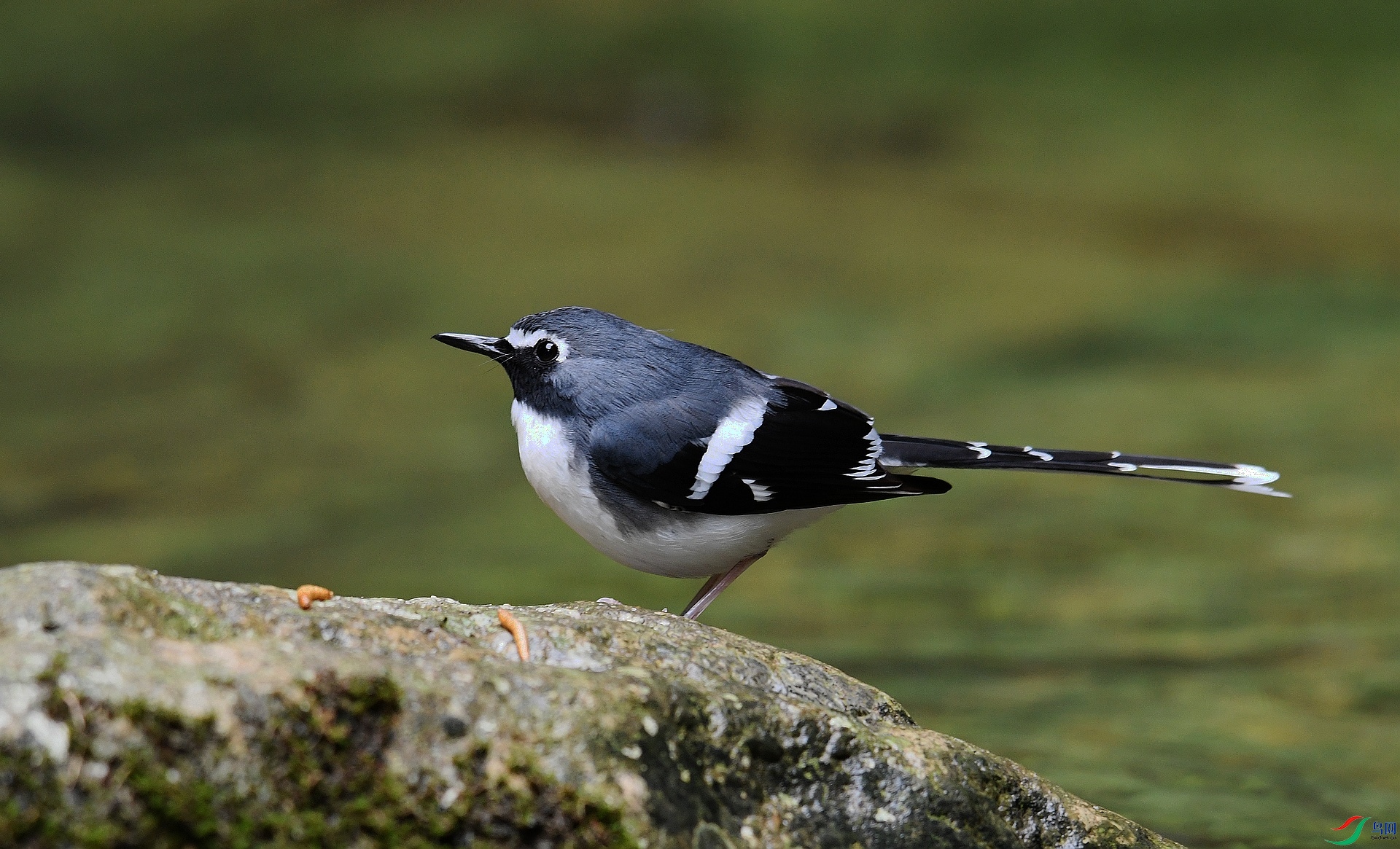 DSC_3856.jpg