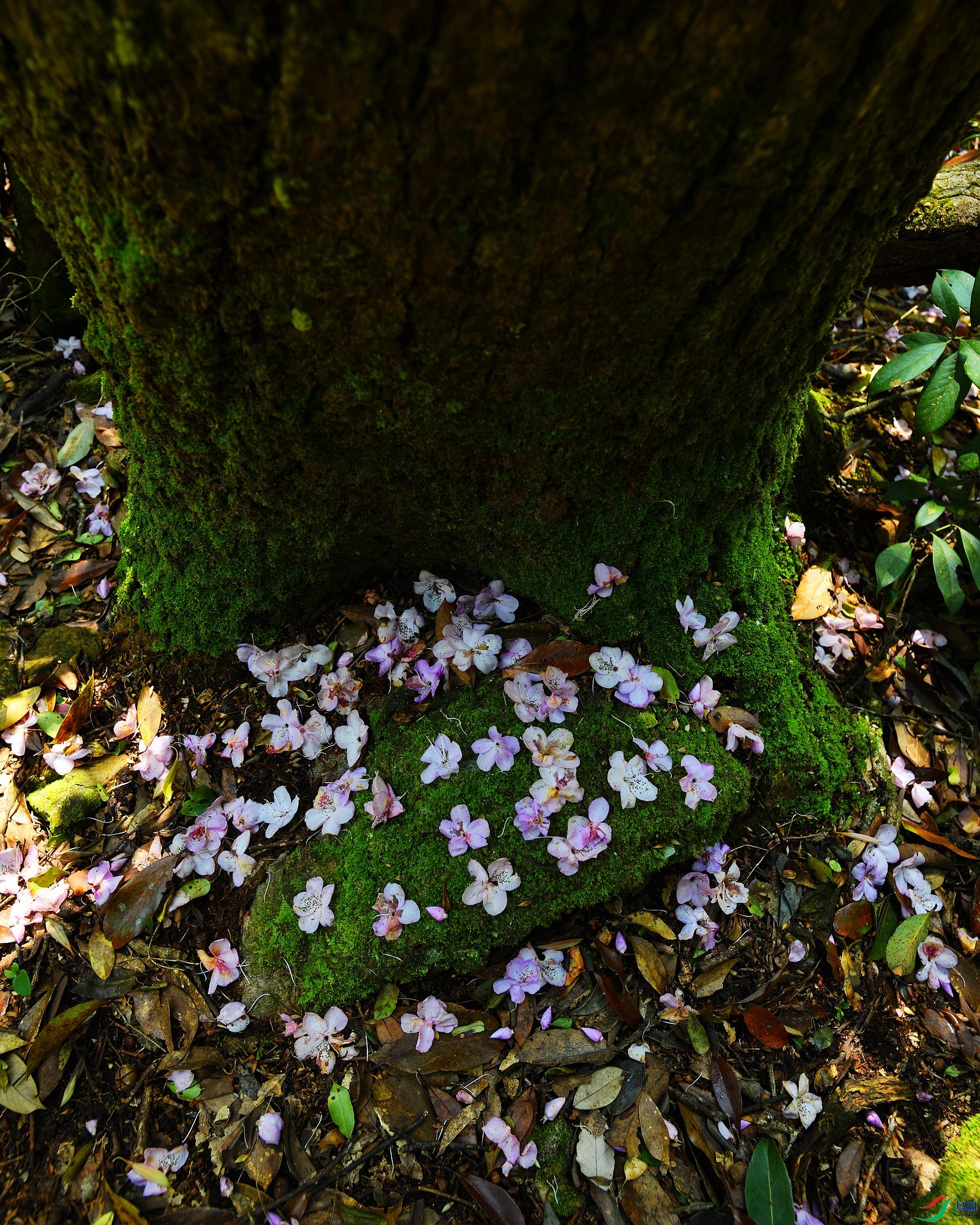 DSC_0928.jpg