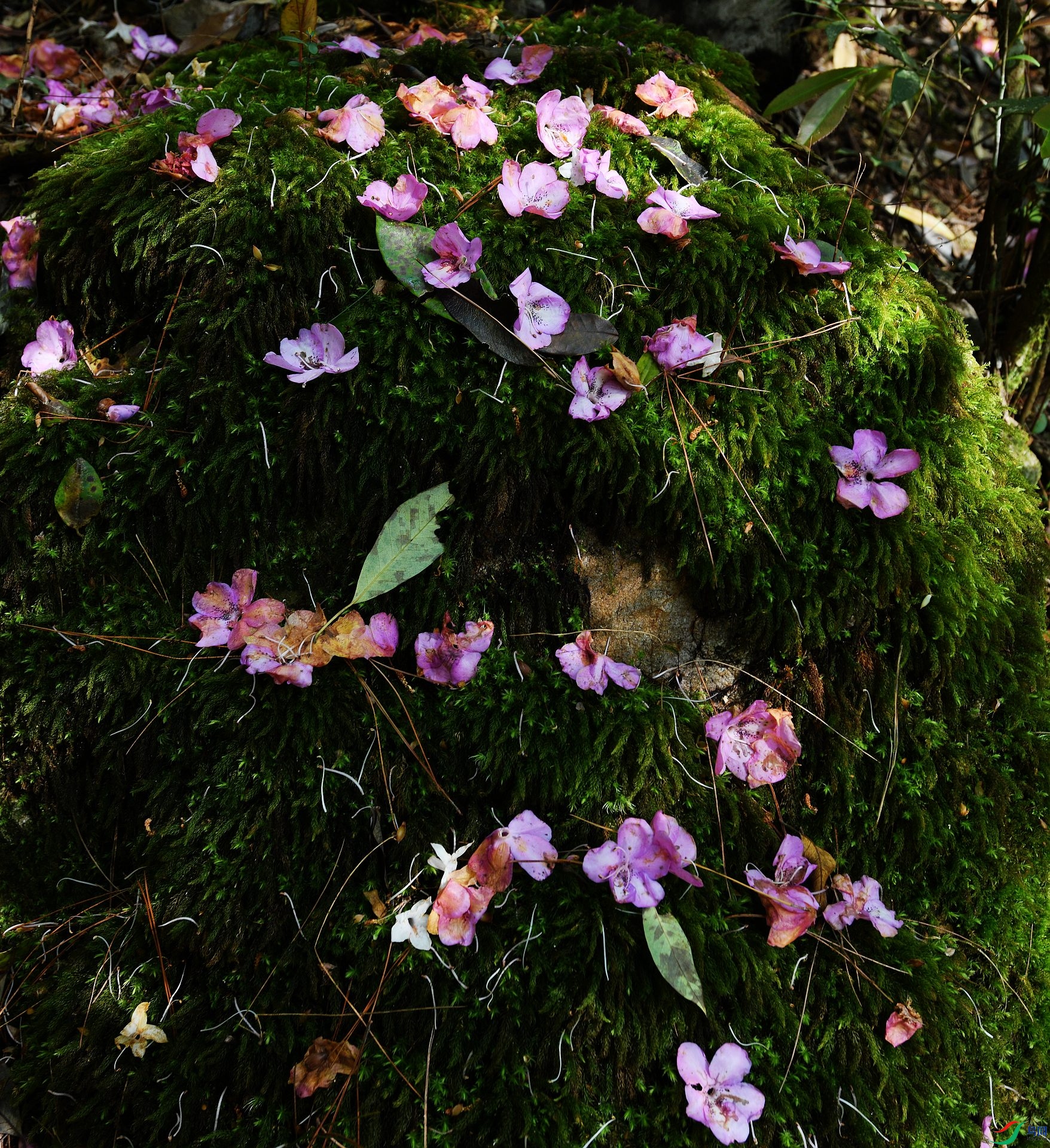 DSC_0903.jpg