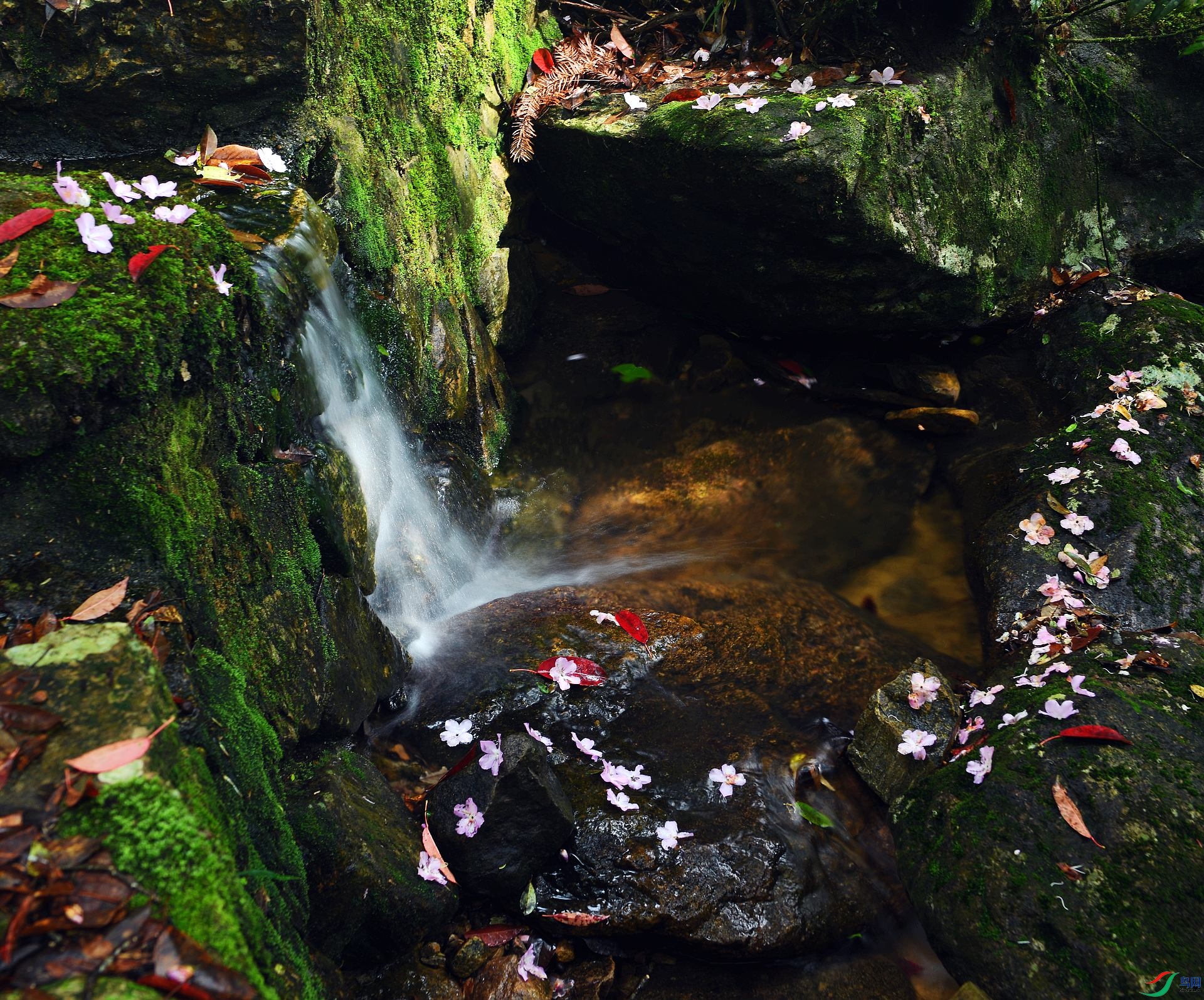 DSC_9790.jpg