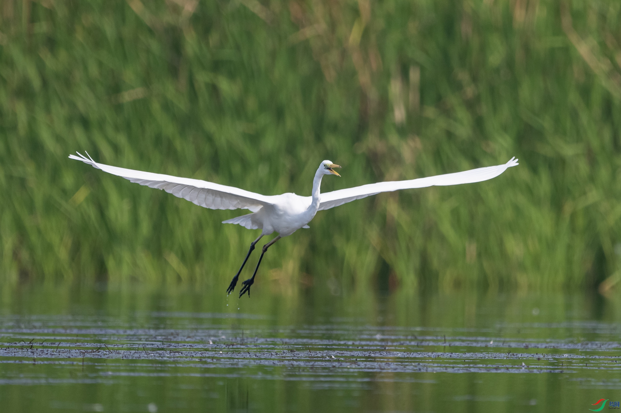 DSC_3514.jpg