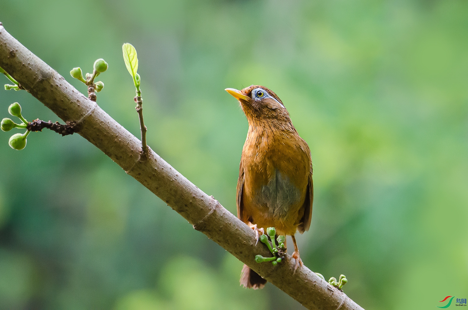 DSC_7119.jpg