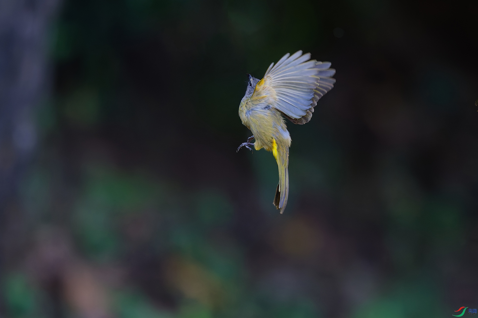 DSC_4116_DxO_DxOa.jpg
