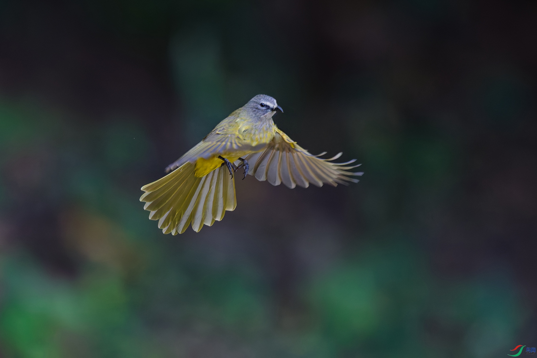 DSC_4128_DxO_DxOa.jpg