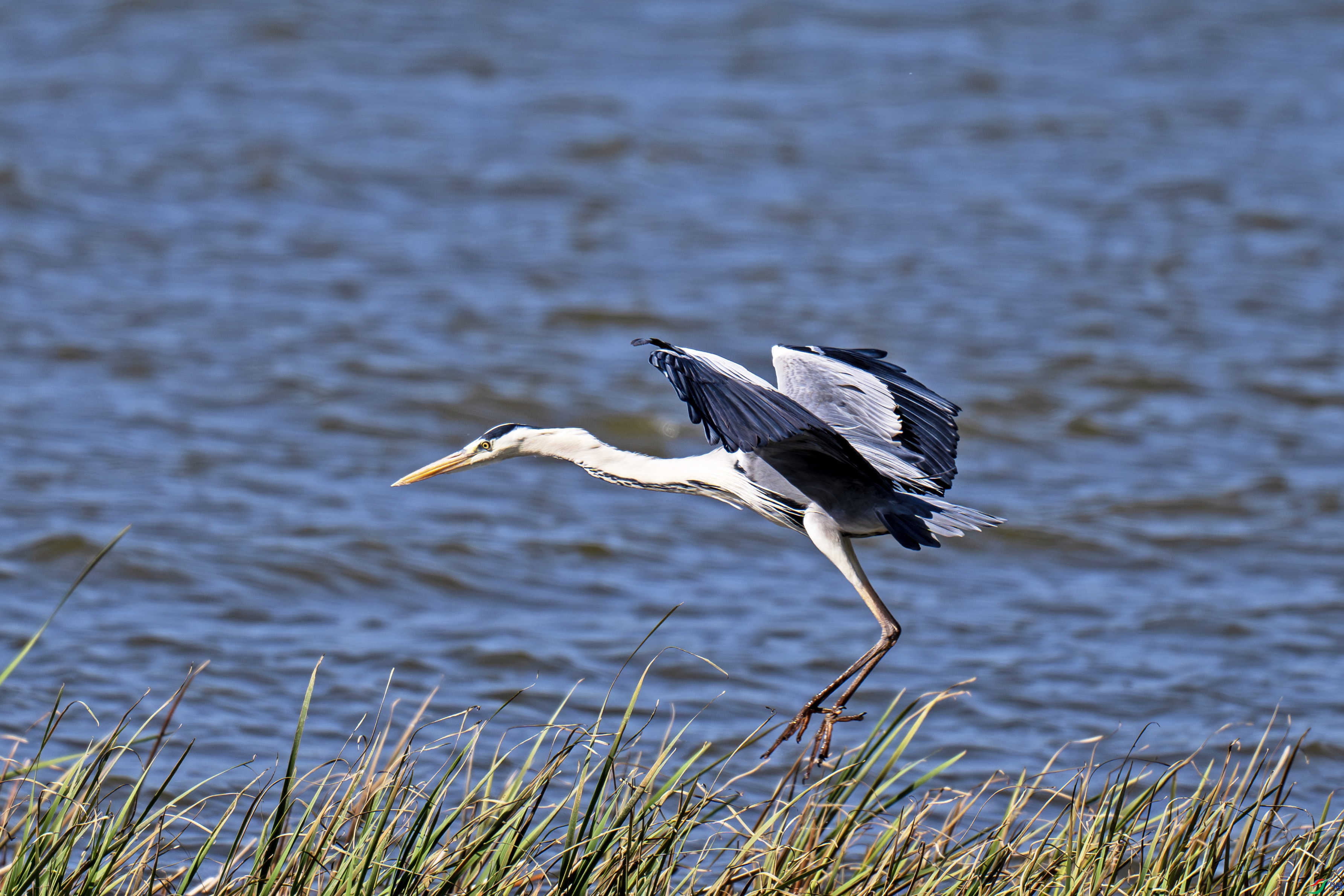 DSC_2349-����.jpg