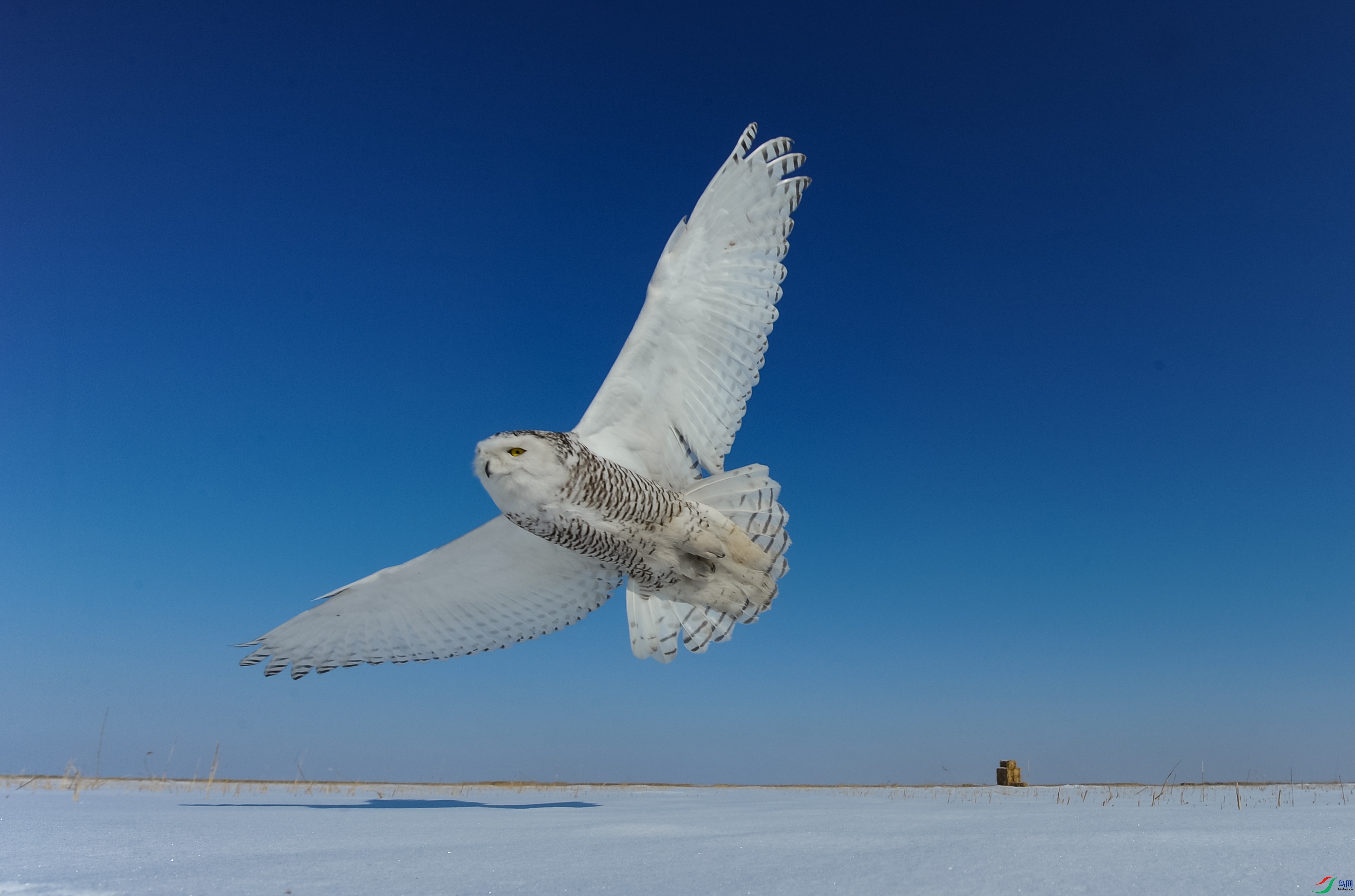 DSC_4401_����.jpg