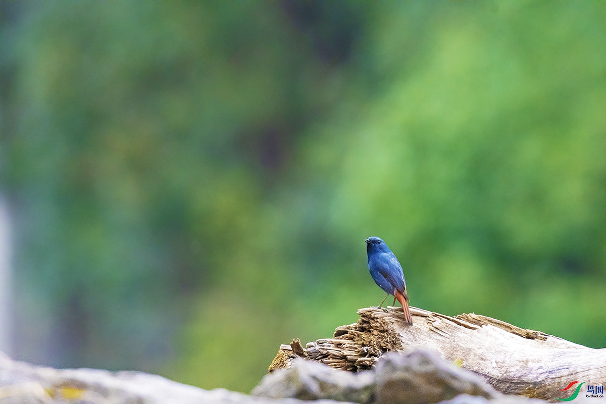 DSC_2612.jpg