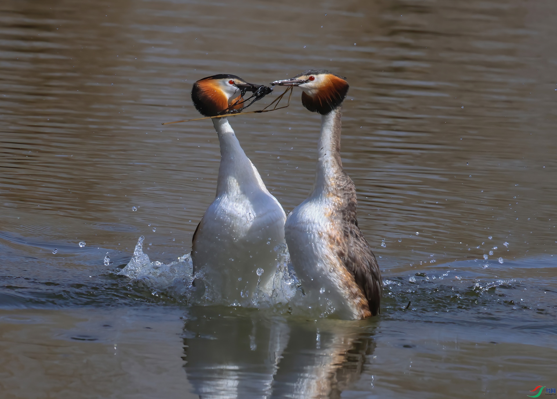 ��ͷ���� 8A5258------333.jpg